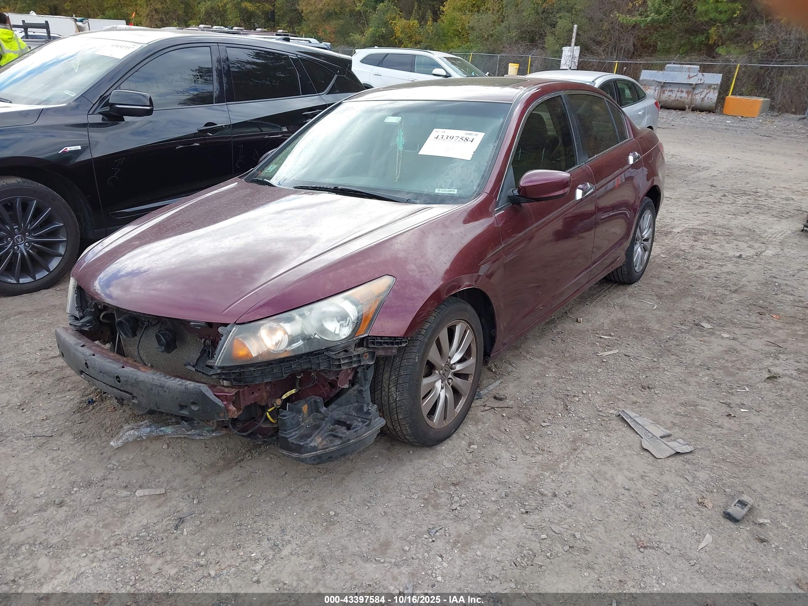 HONDA ACCORD image 2