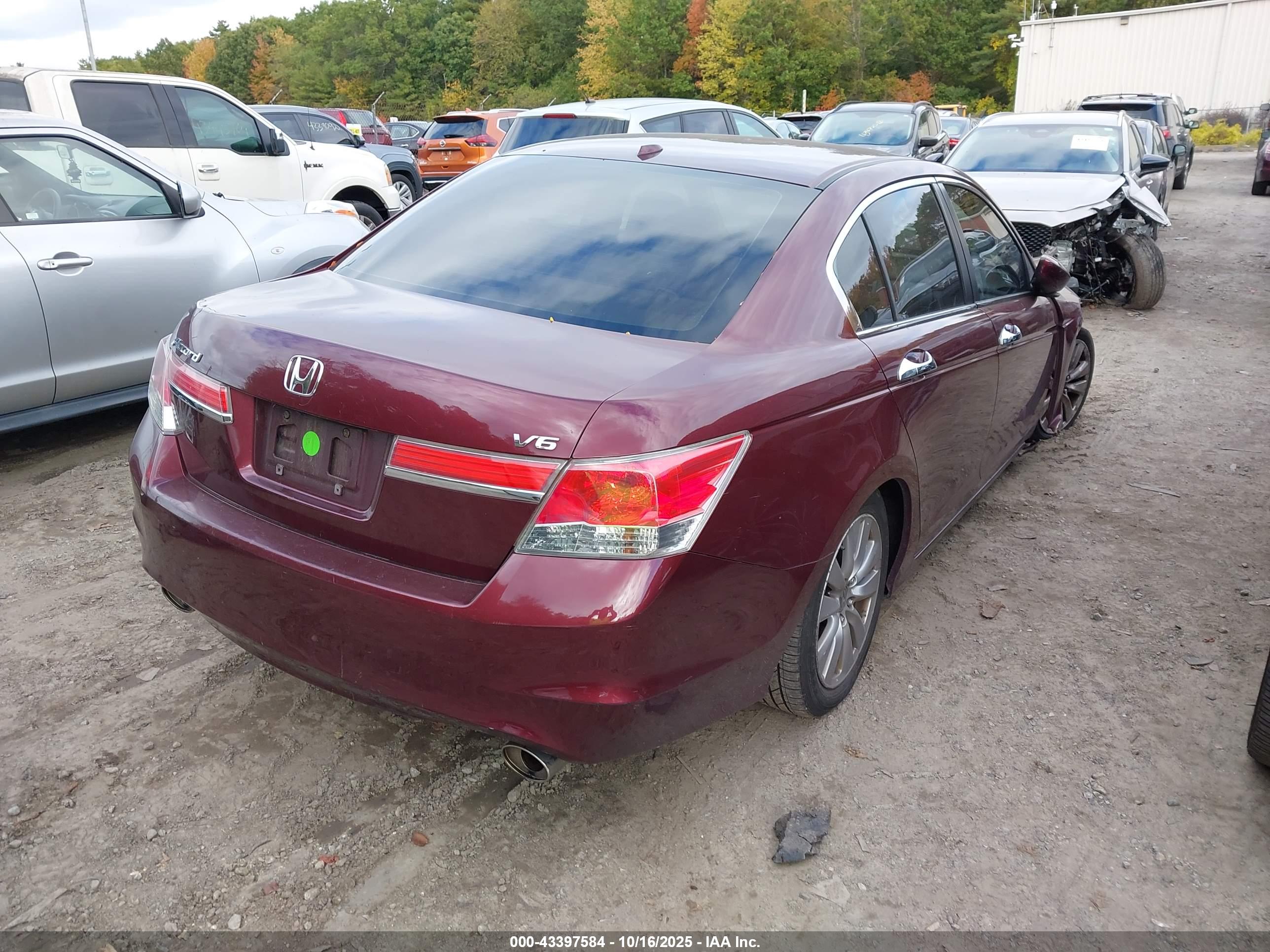 HONDA ACCORD image 4
