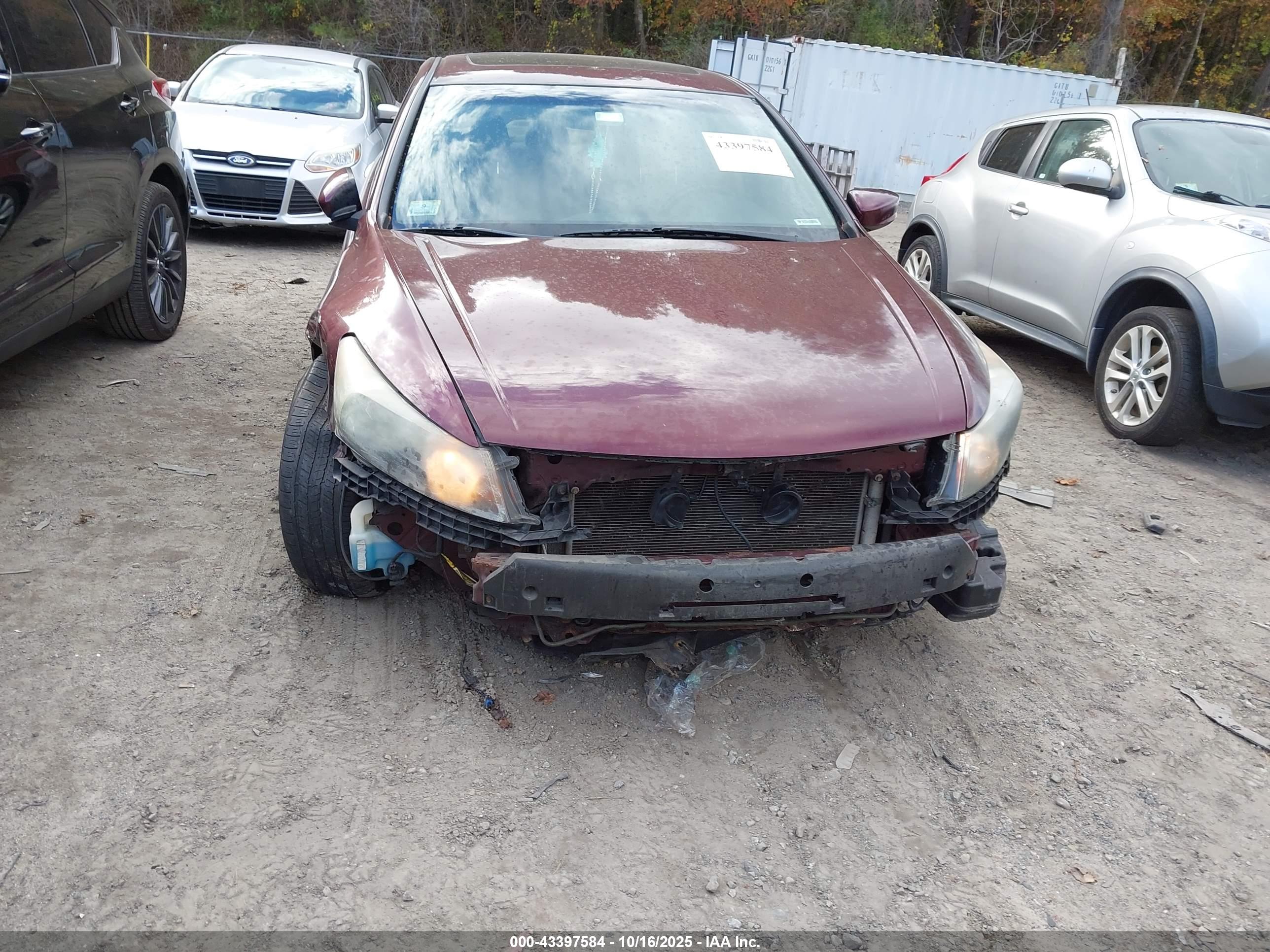 HONDA ACCORD image 6