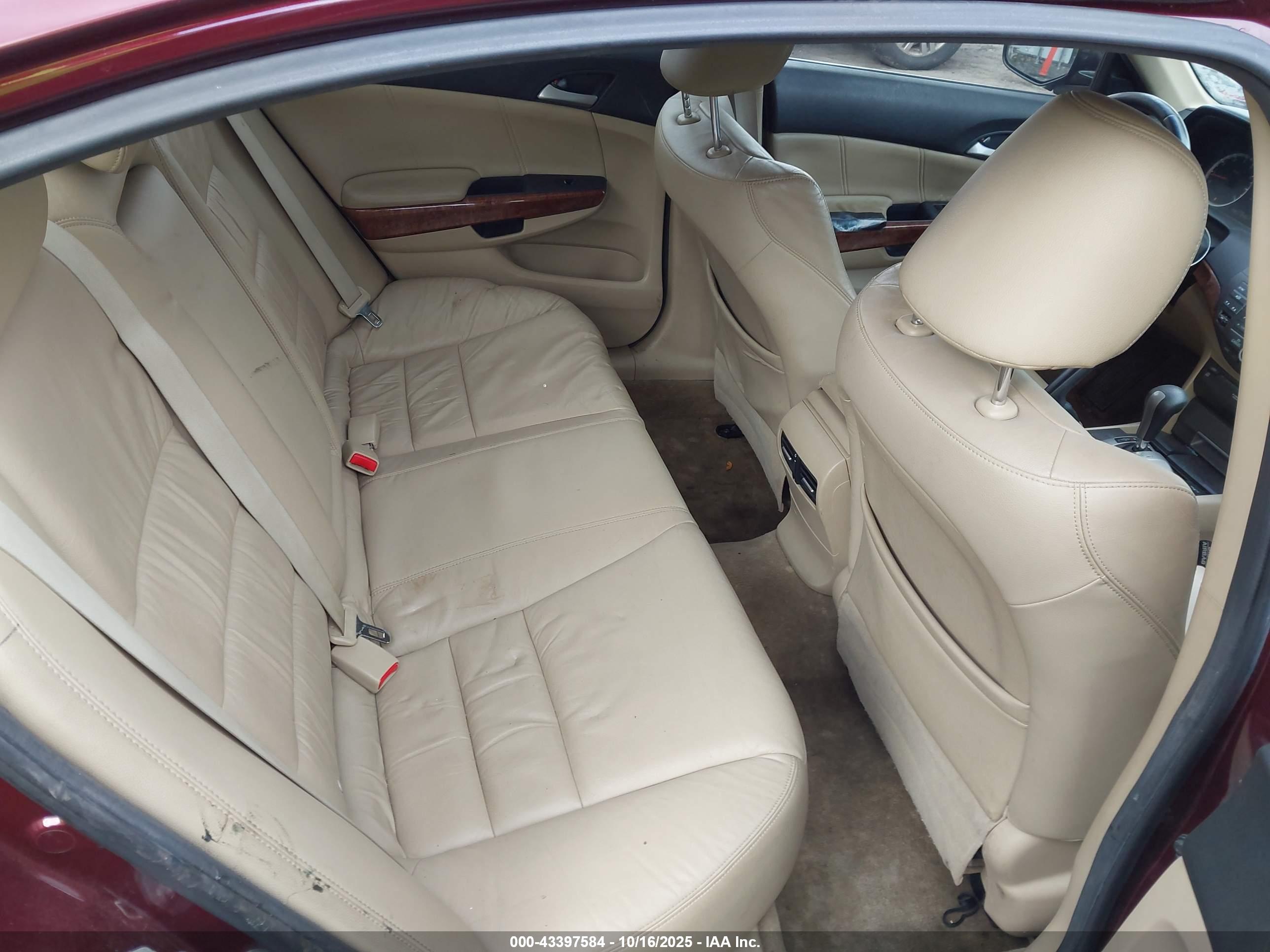 HONDA ACCORD image 8