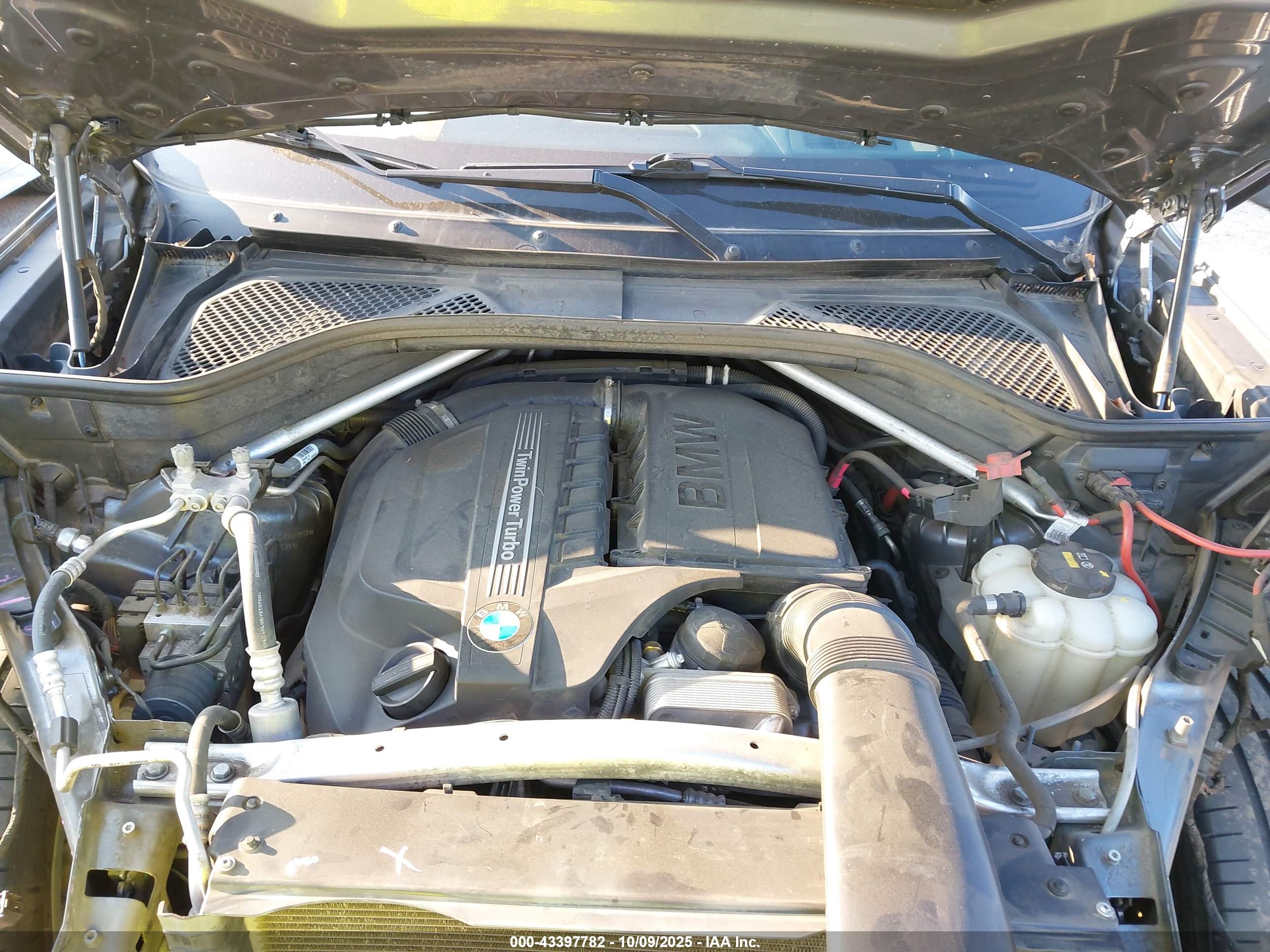 BMW X6 image 10