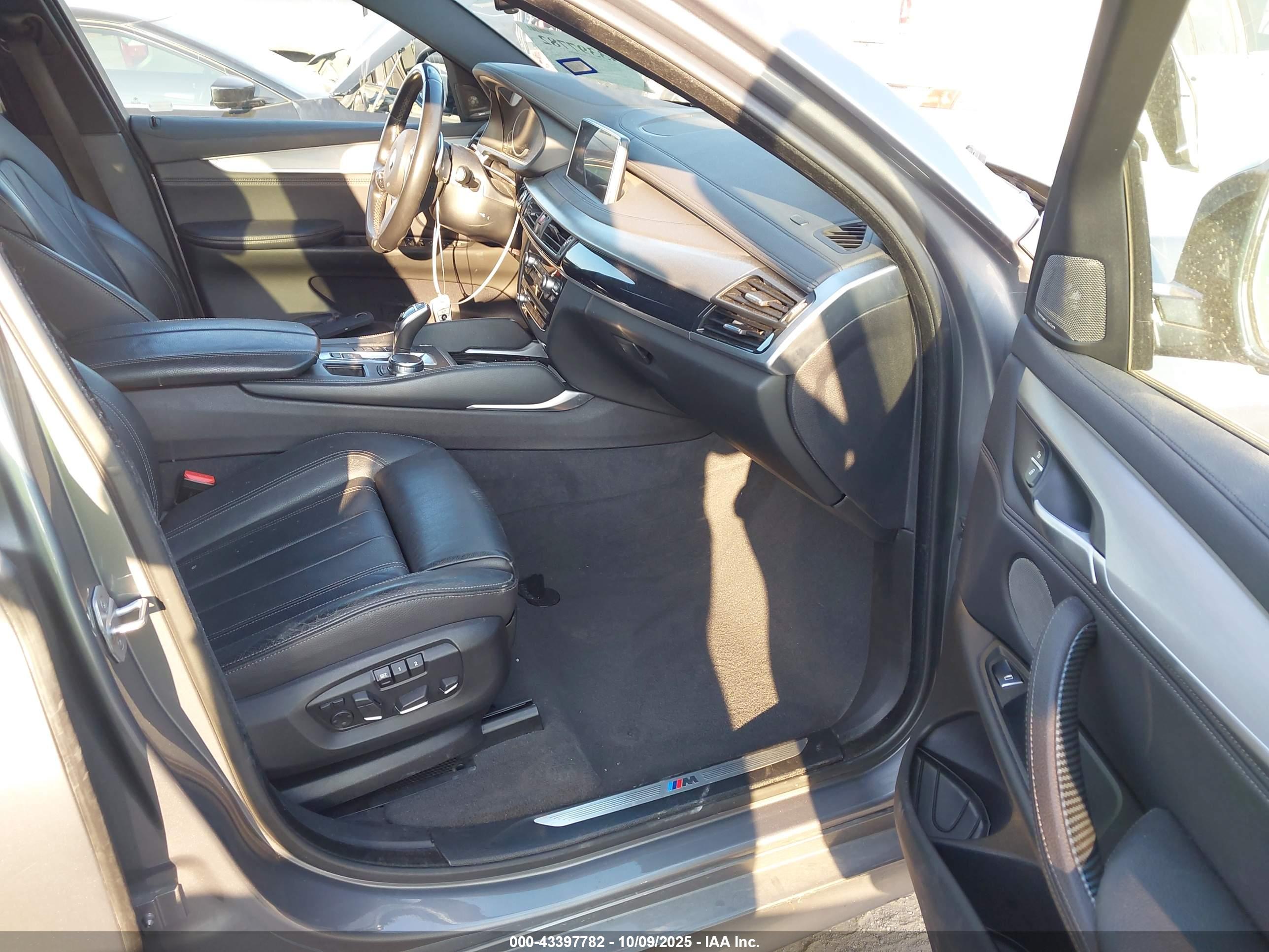 BMW X6 image 5