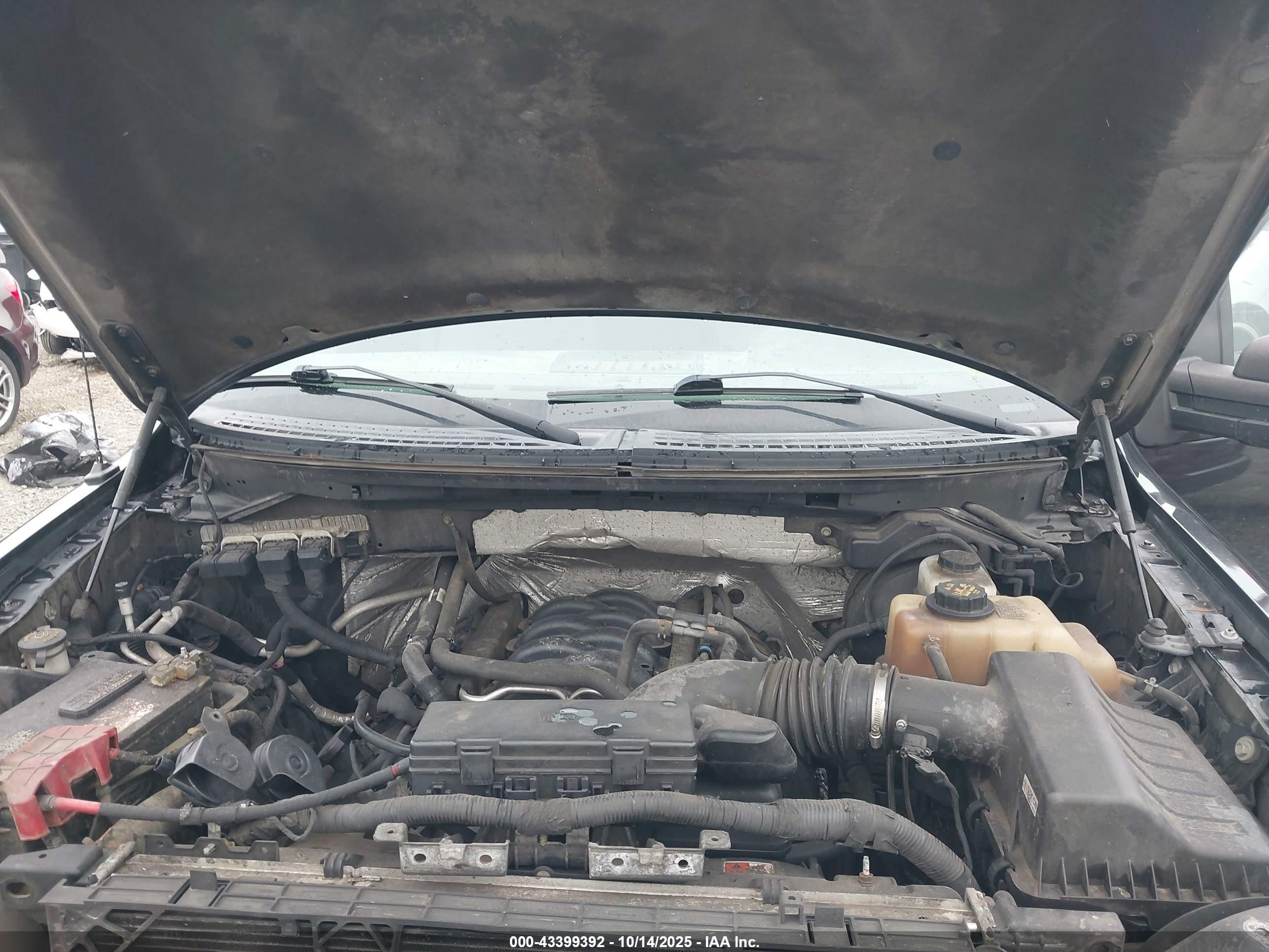 FORD F-150 image 10