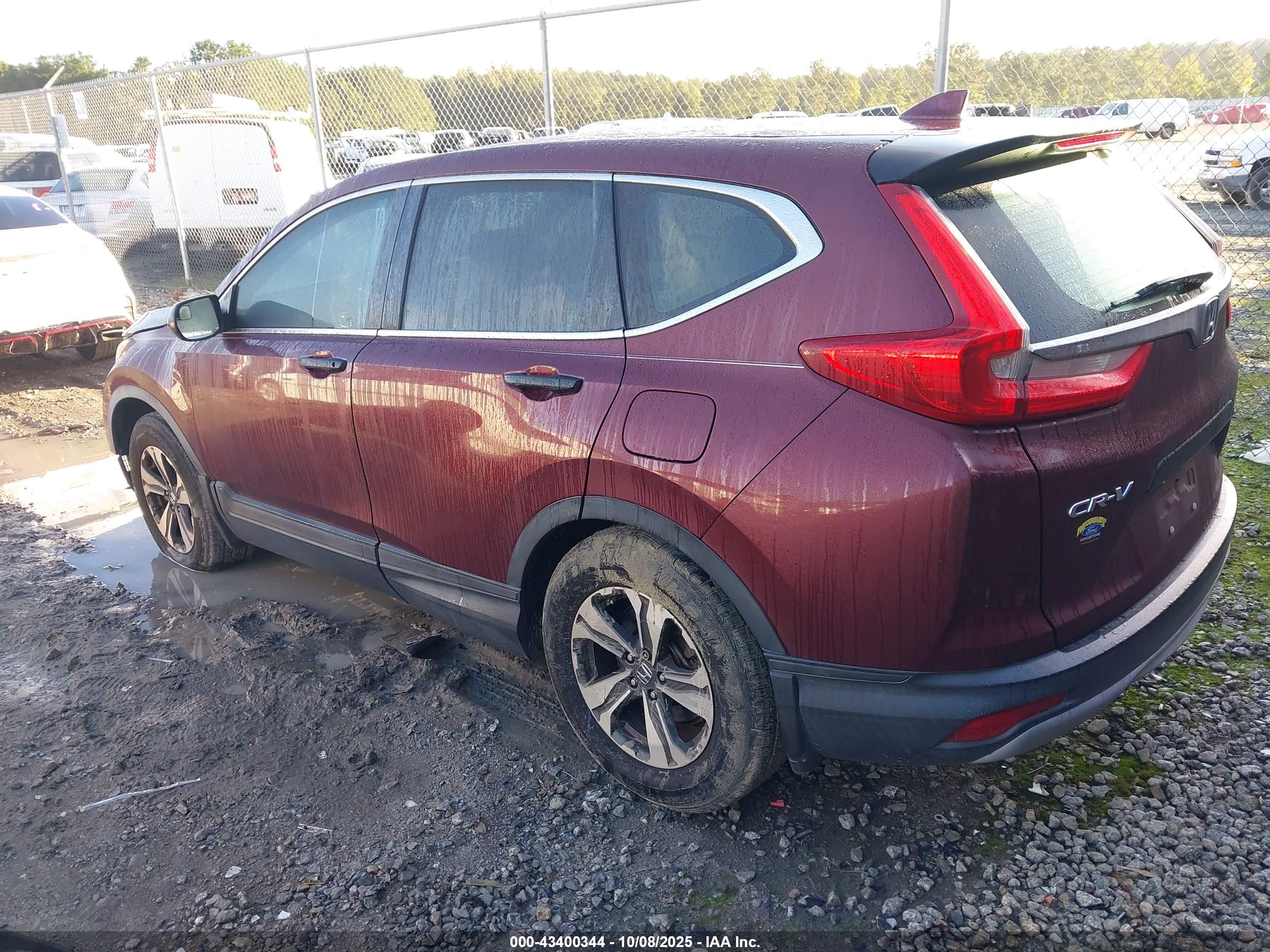 HONDA CR-V image 3