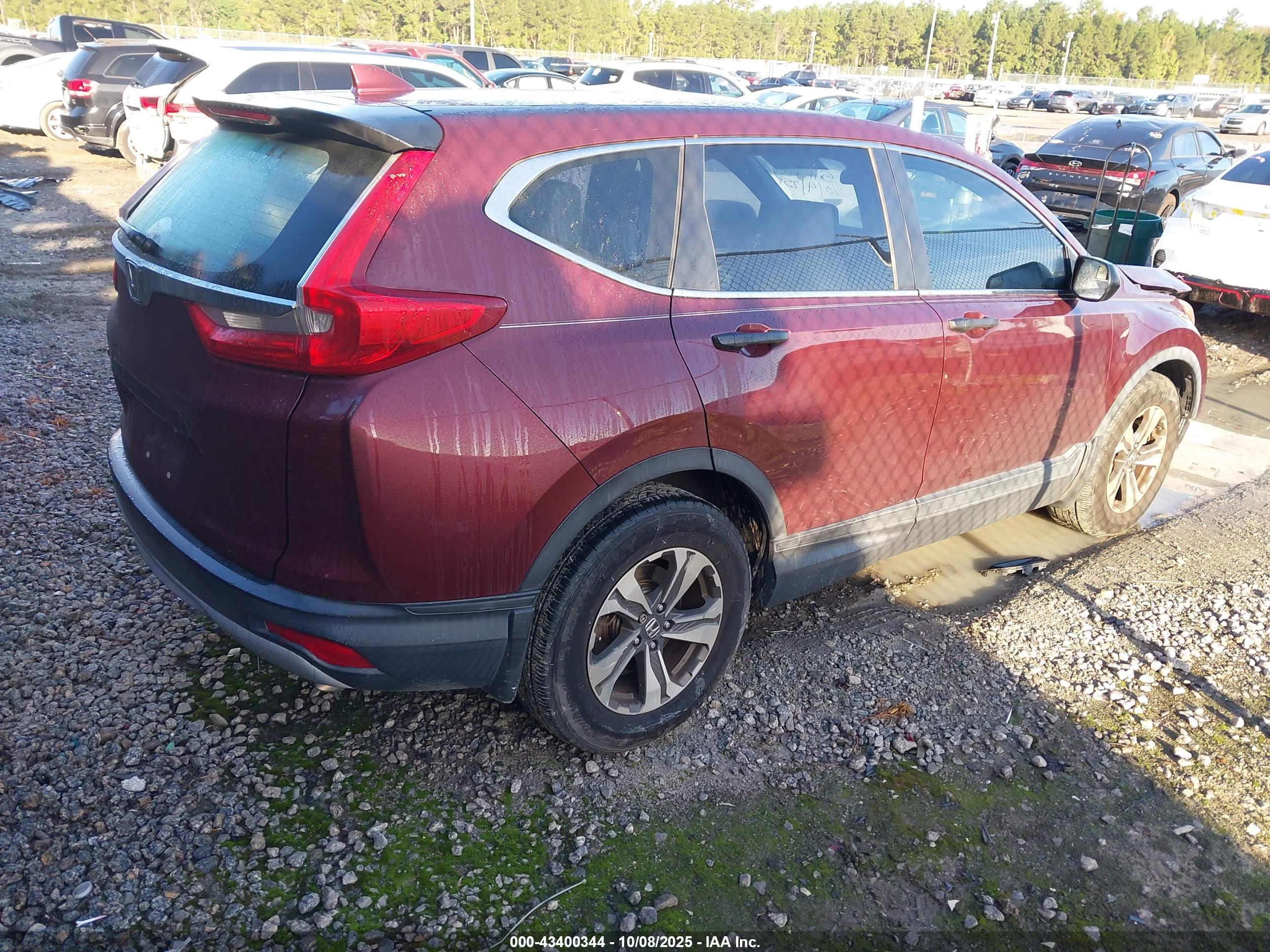HONDA CR-V image 4