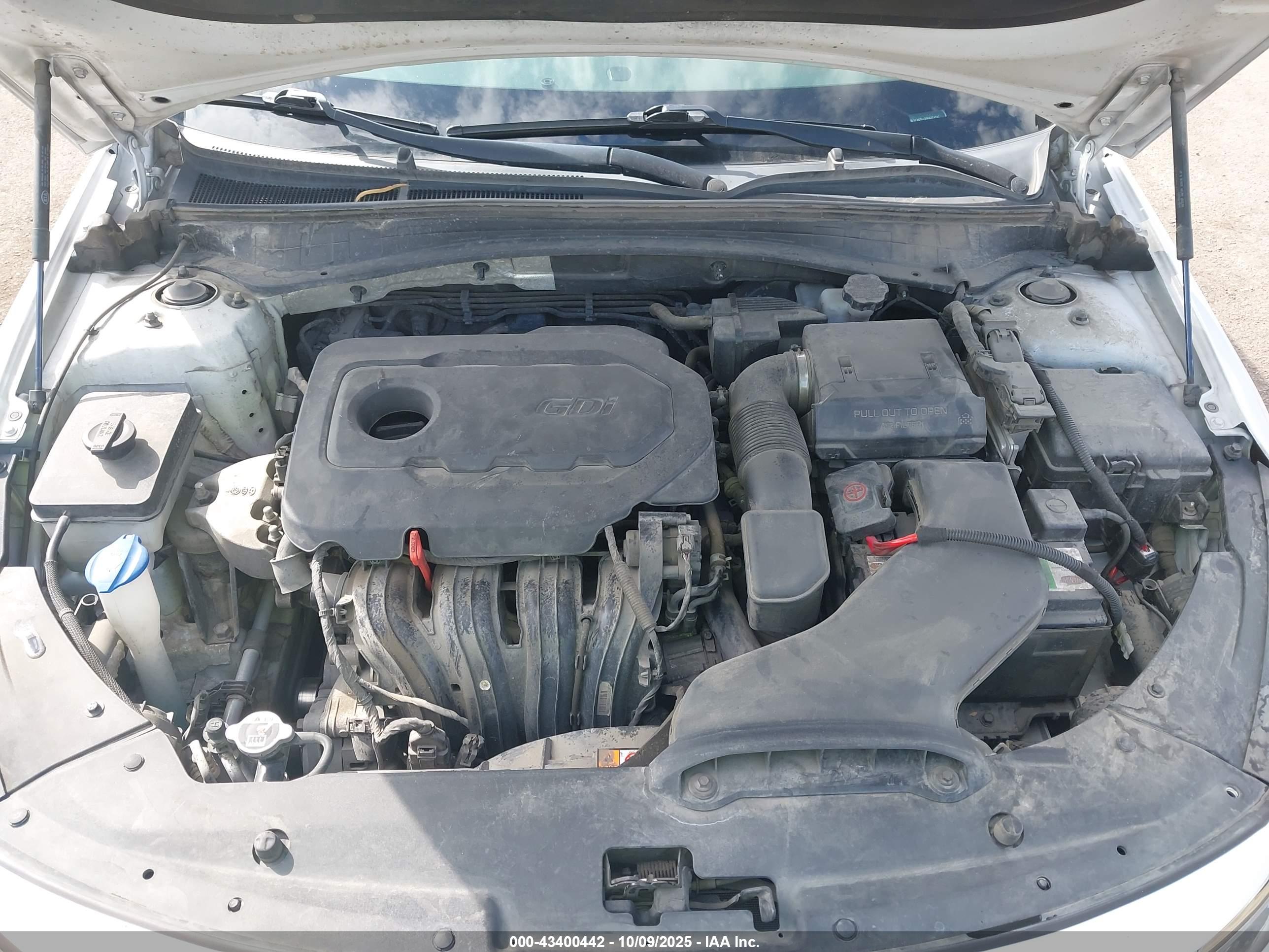 KIA OPTIMA image 10