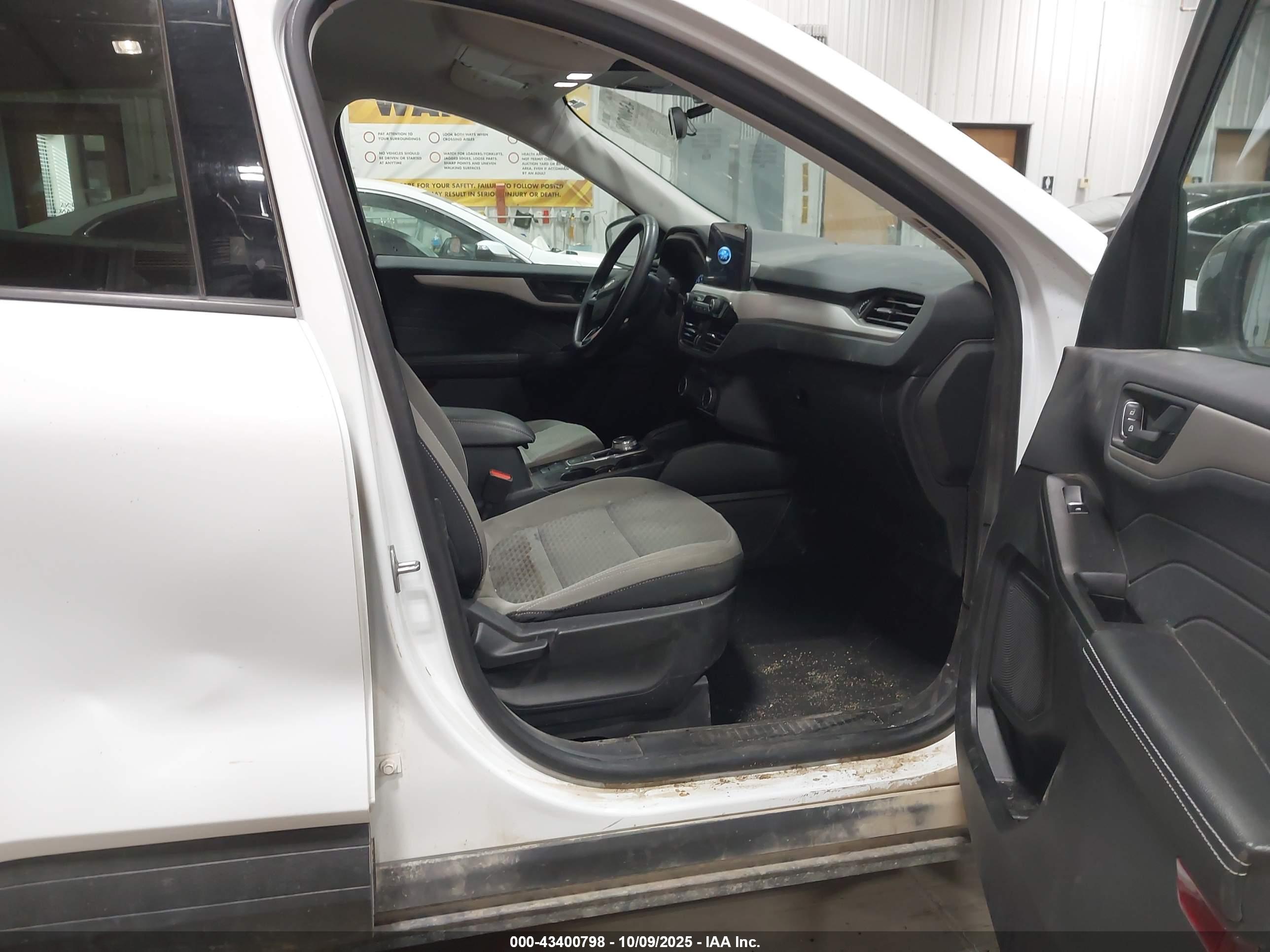 FORD ESCAPE image 5