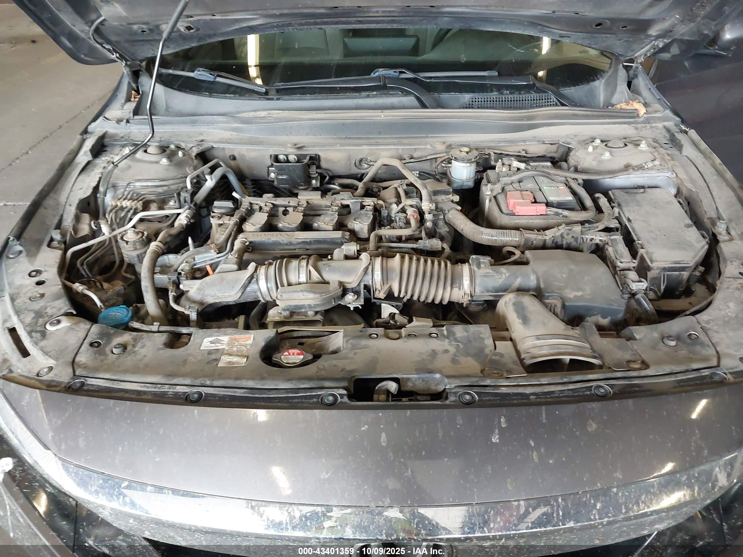 HONDA ACCORD image 10