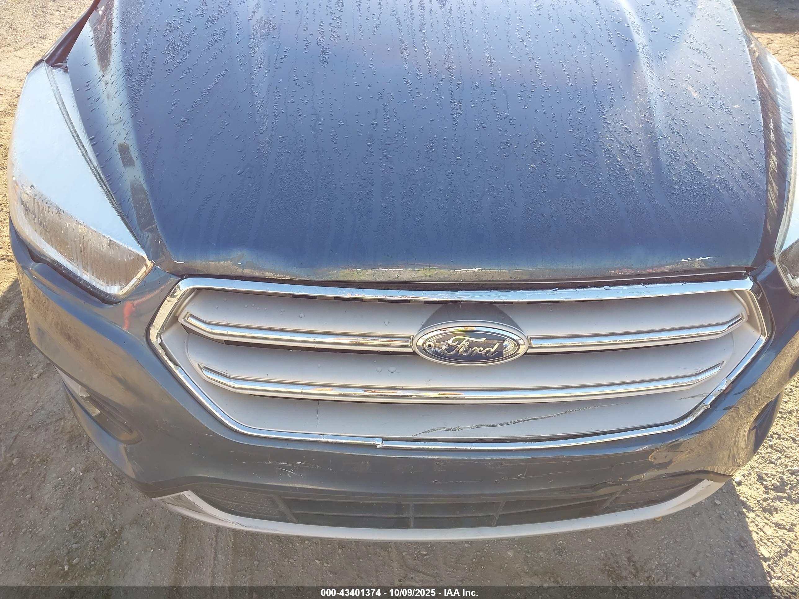 FORD ESCAPE image 6