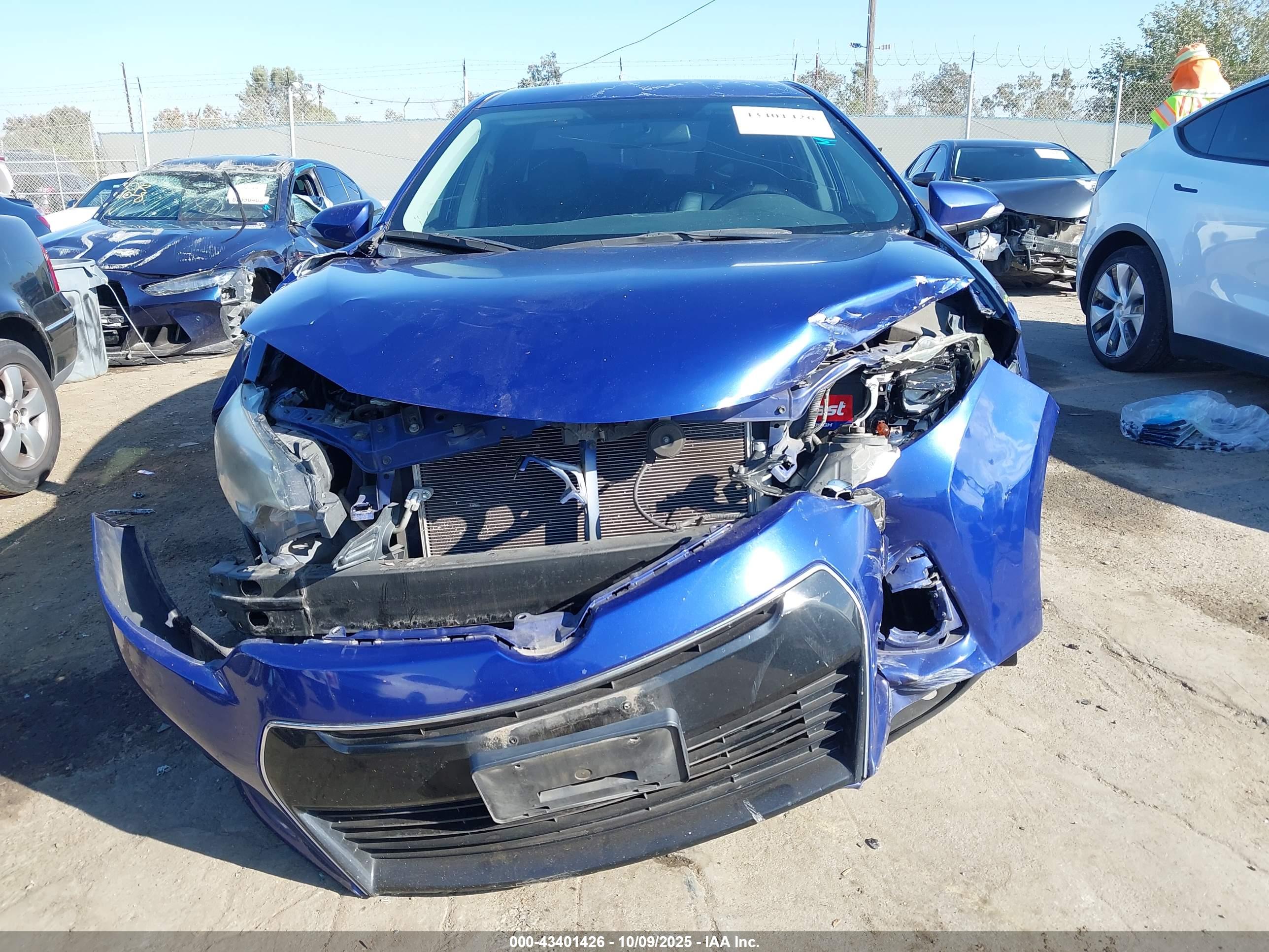 TOYOTA COROLLA image 6