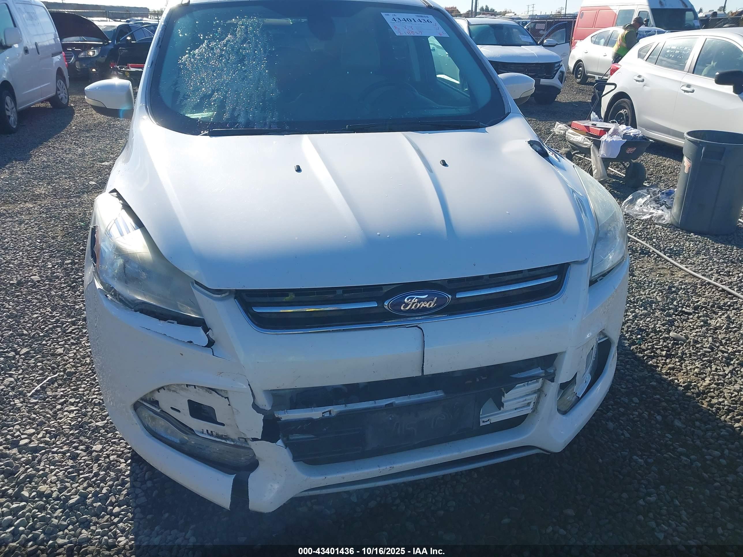 FORD ESCAPE image 6