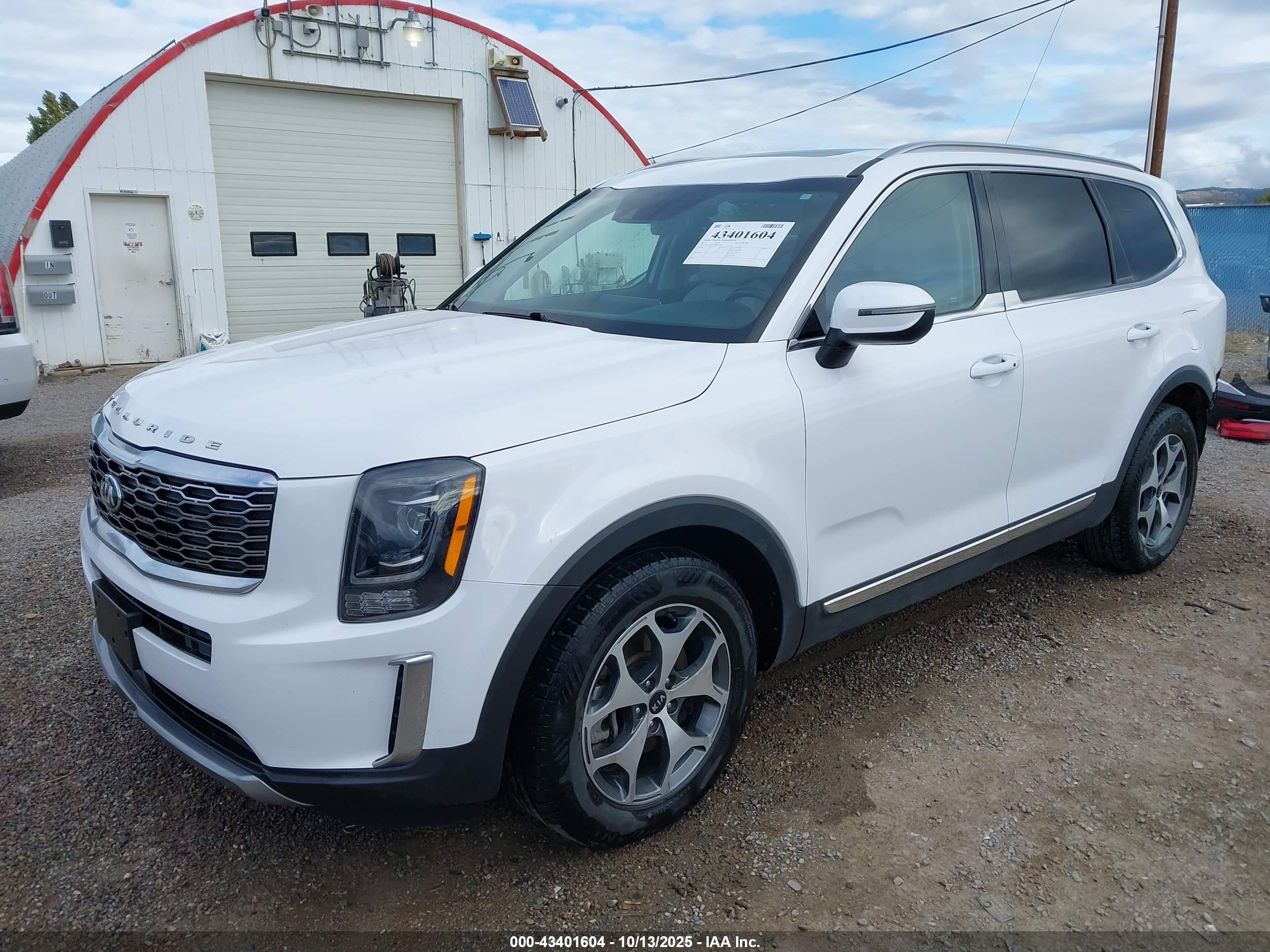 KIA TELLURIDE image 2