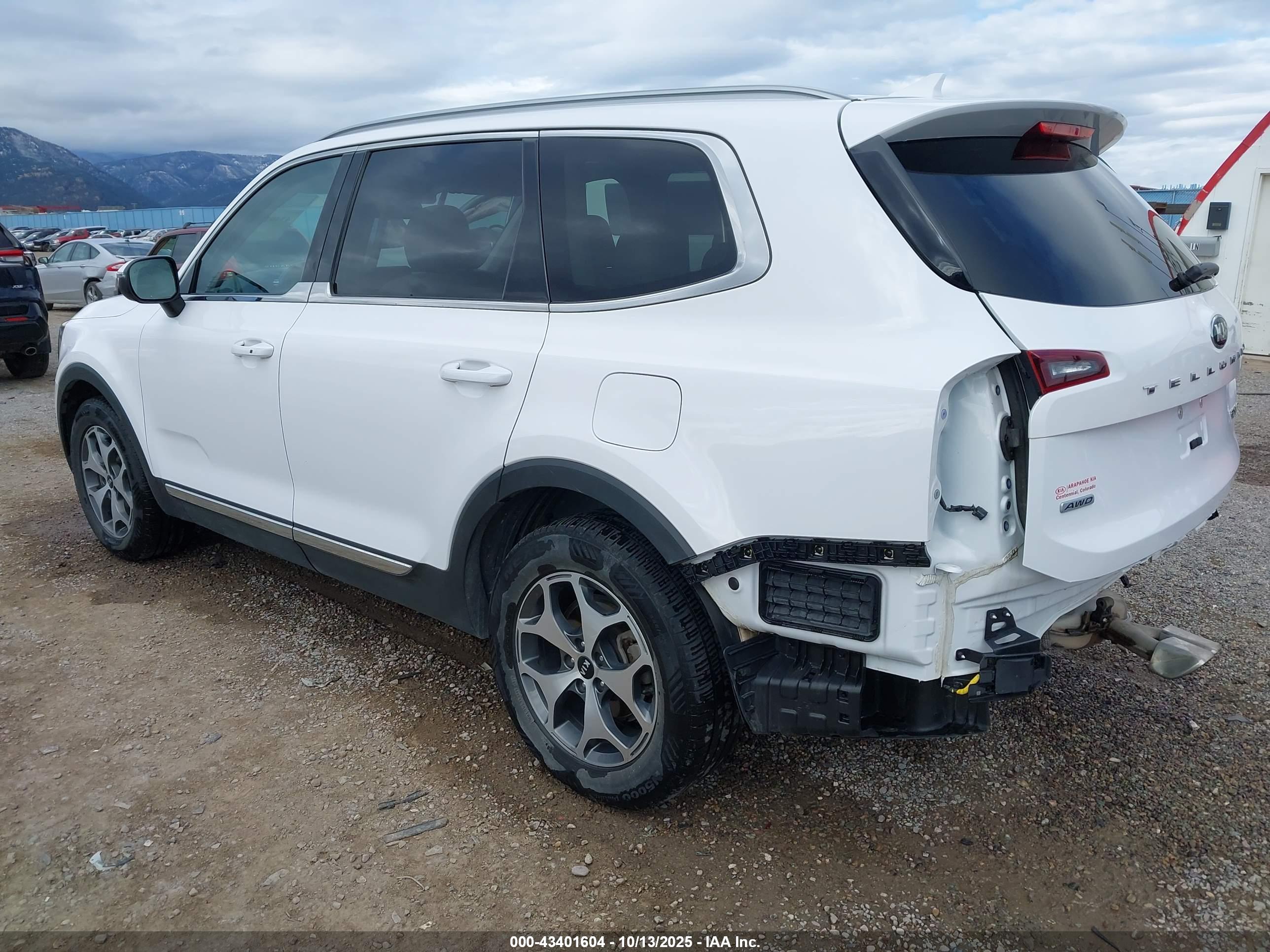 KIA TELLURIDE image 3