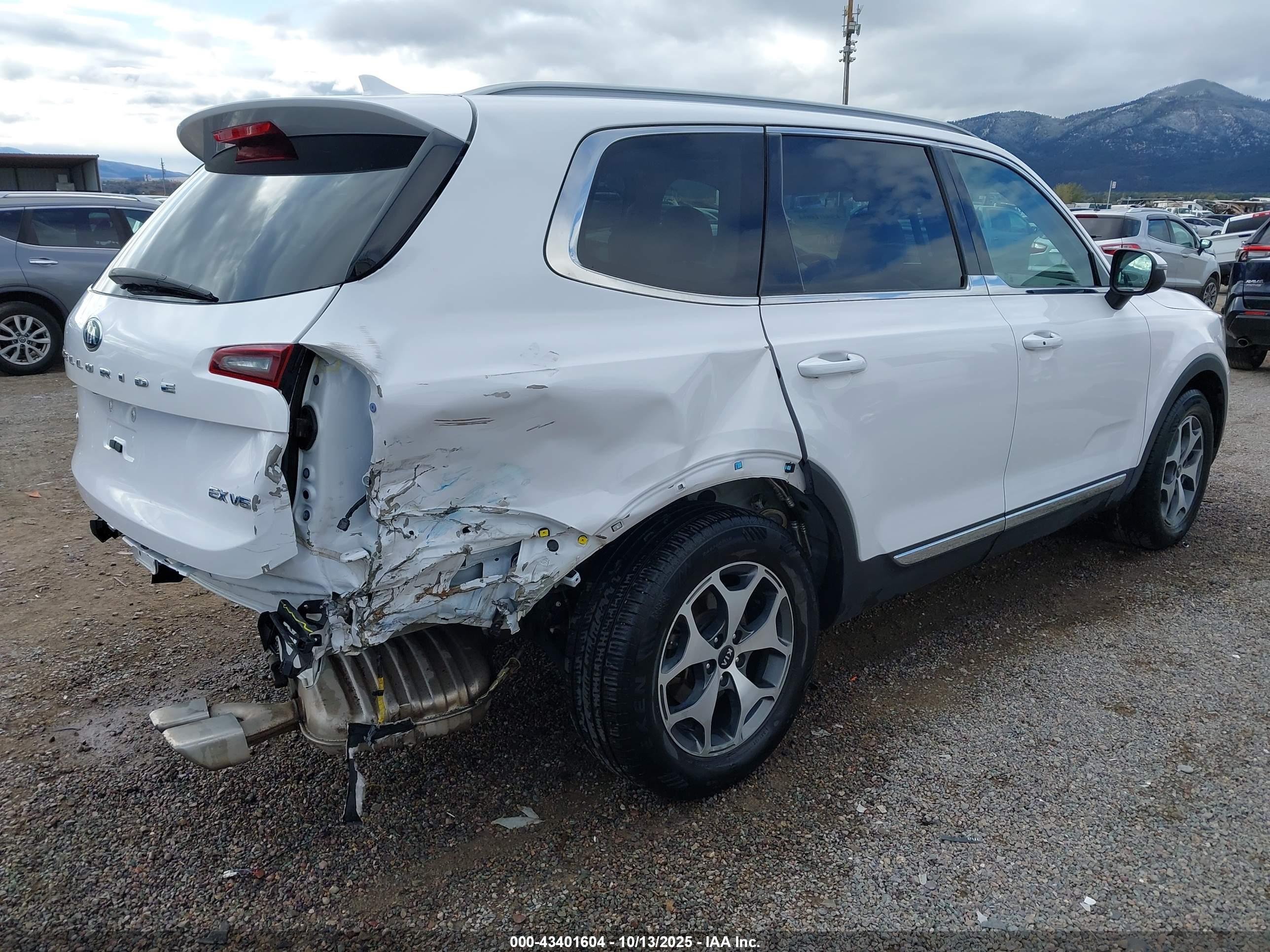 KIA TELLURIDE image 4