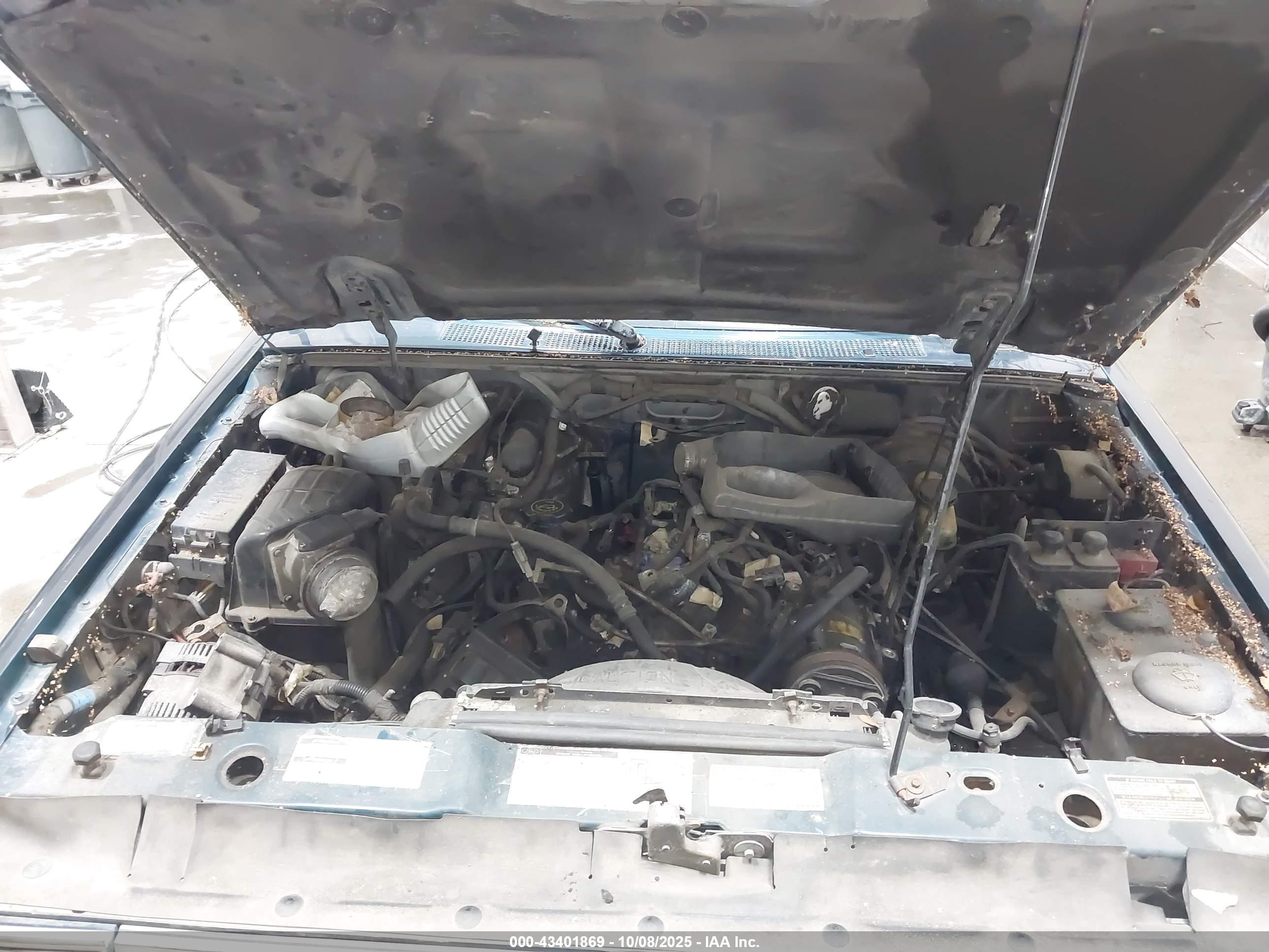 FORD EXPLORER image 10