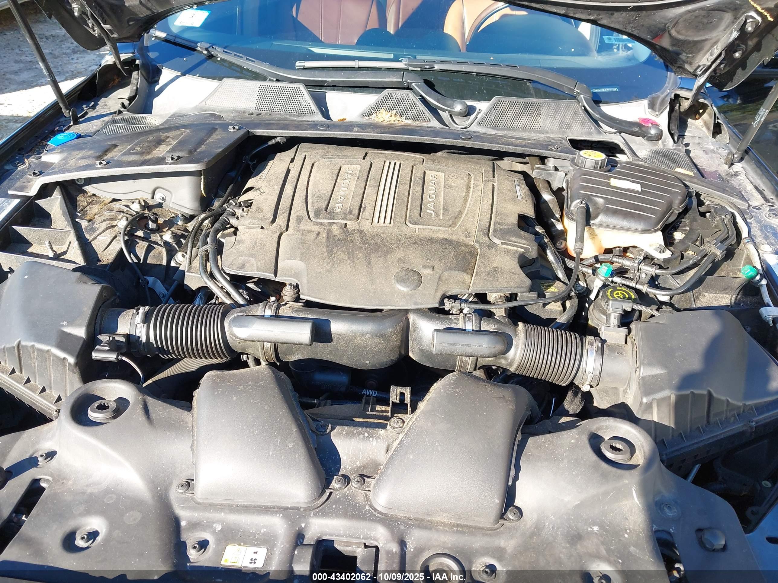 JAGUAR XJ image 10