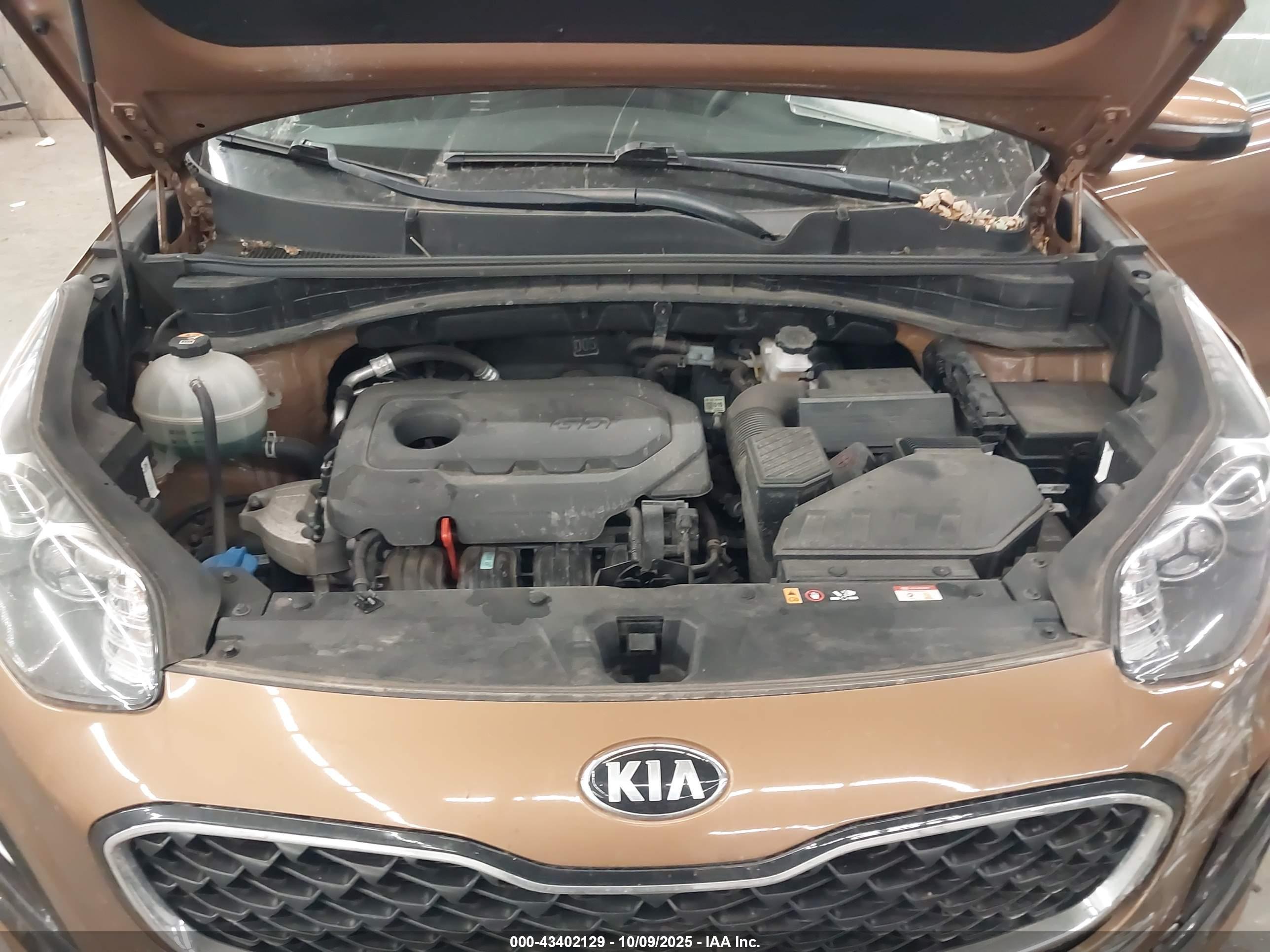 KIA SPORTAGE image 10
