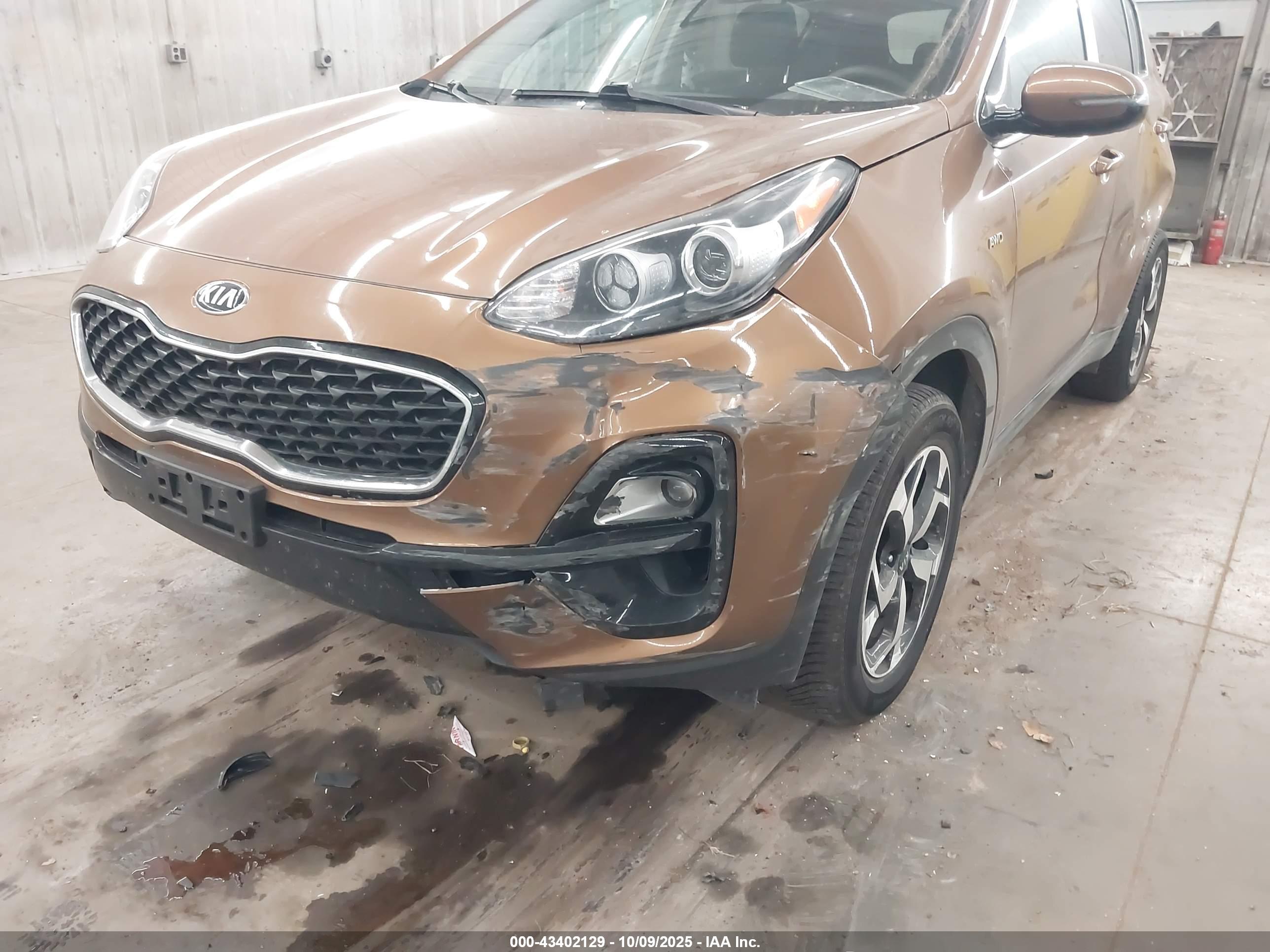 KIA SPORTAGE image 6
