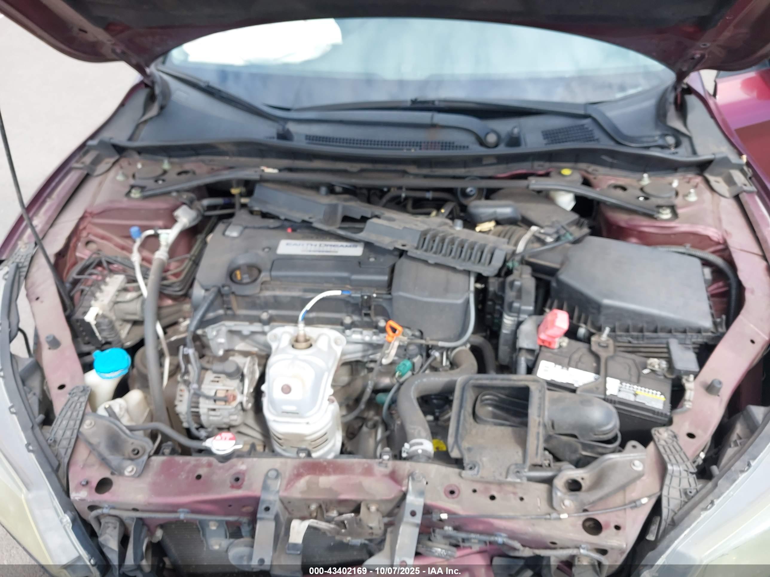 HONDA ACCORD image 10