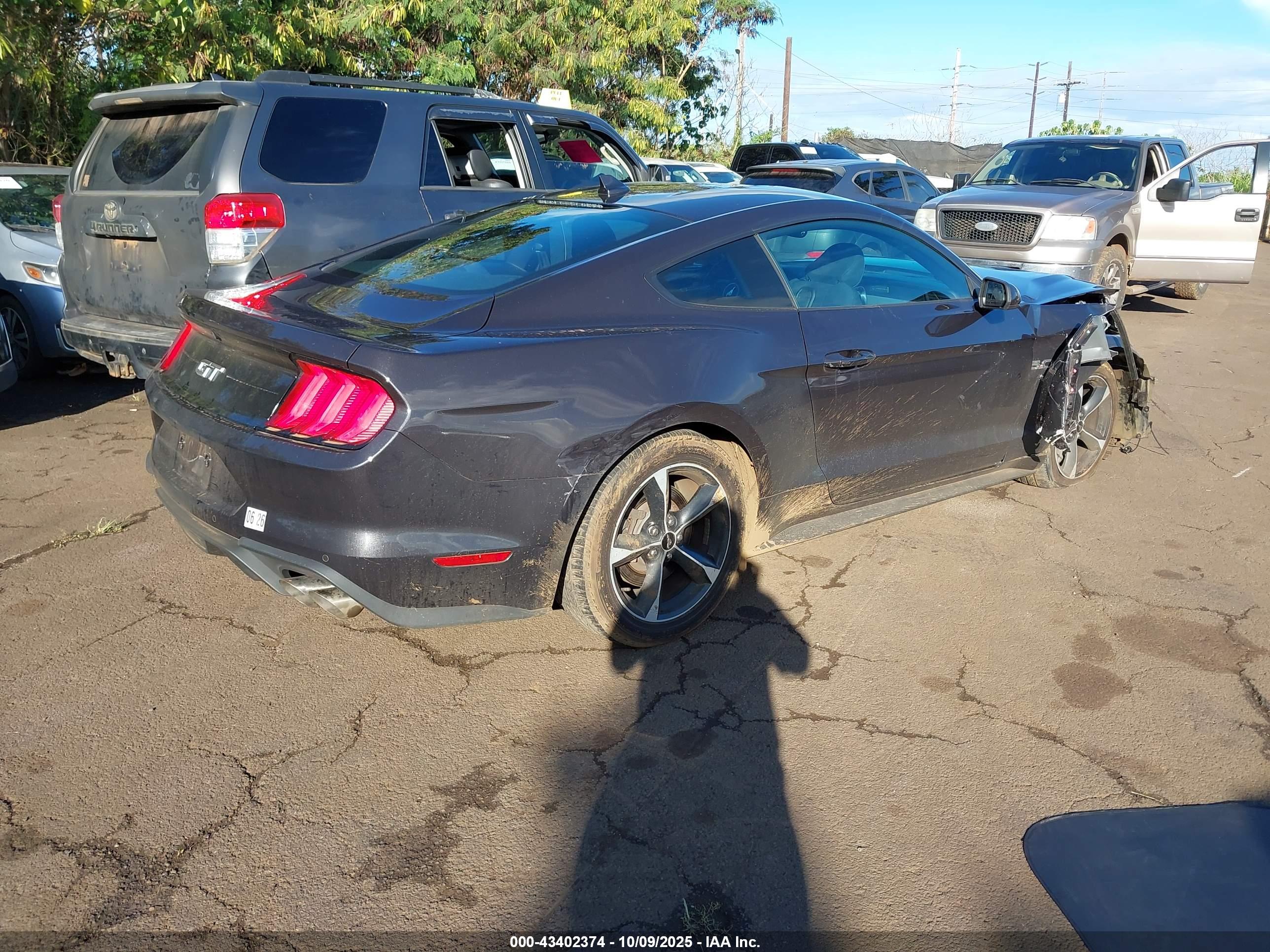 FORD MUSTANG image 4