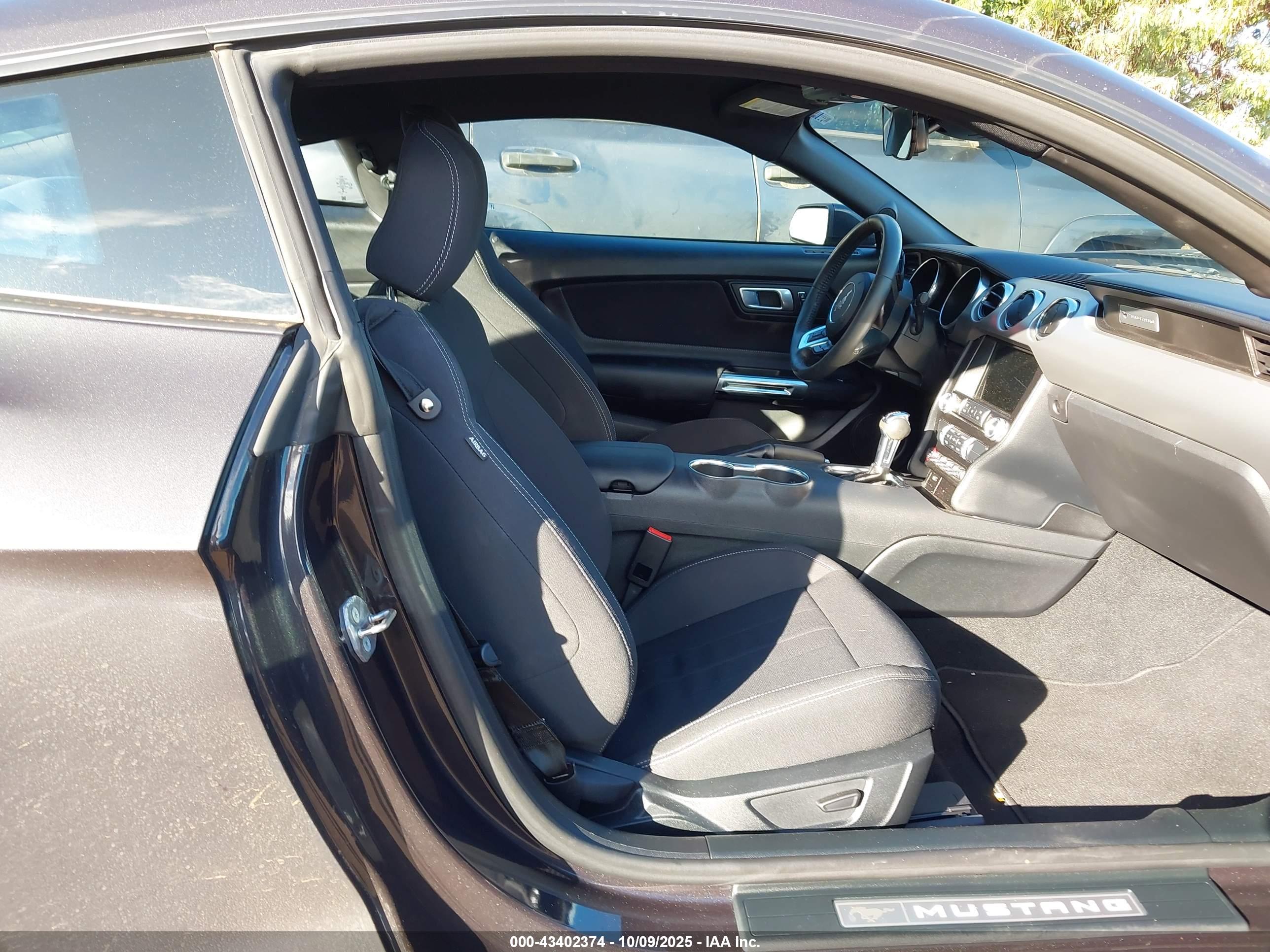 FORD MUSTANG image 5