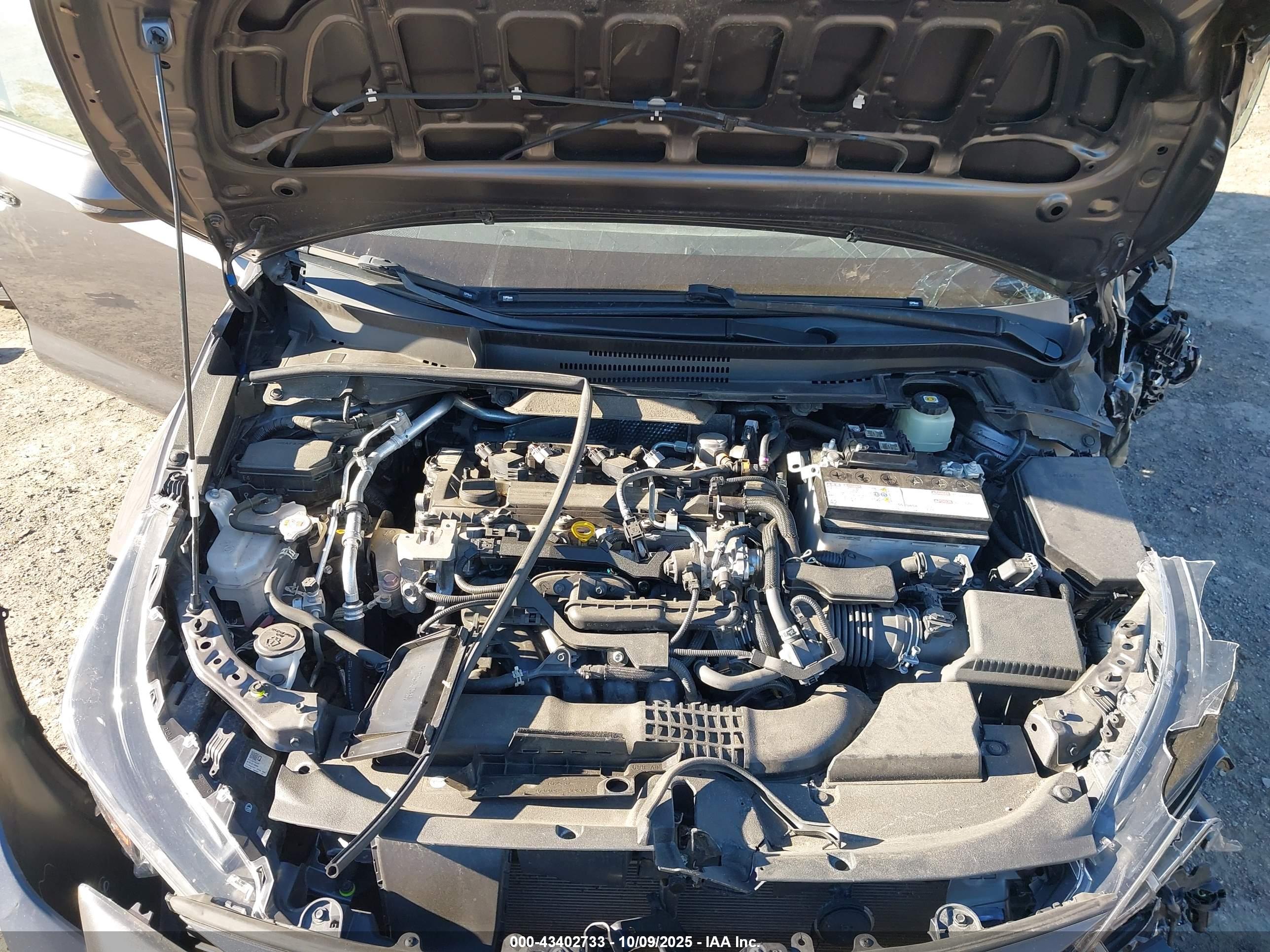 TOYOTA COROLLA image 10