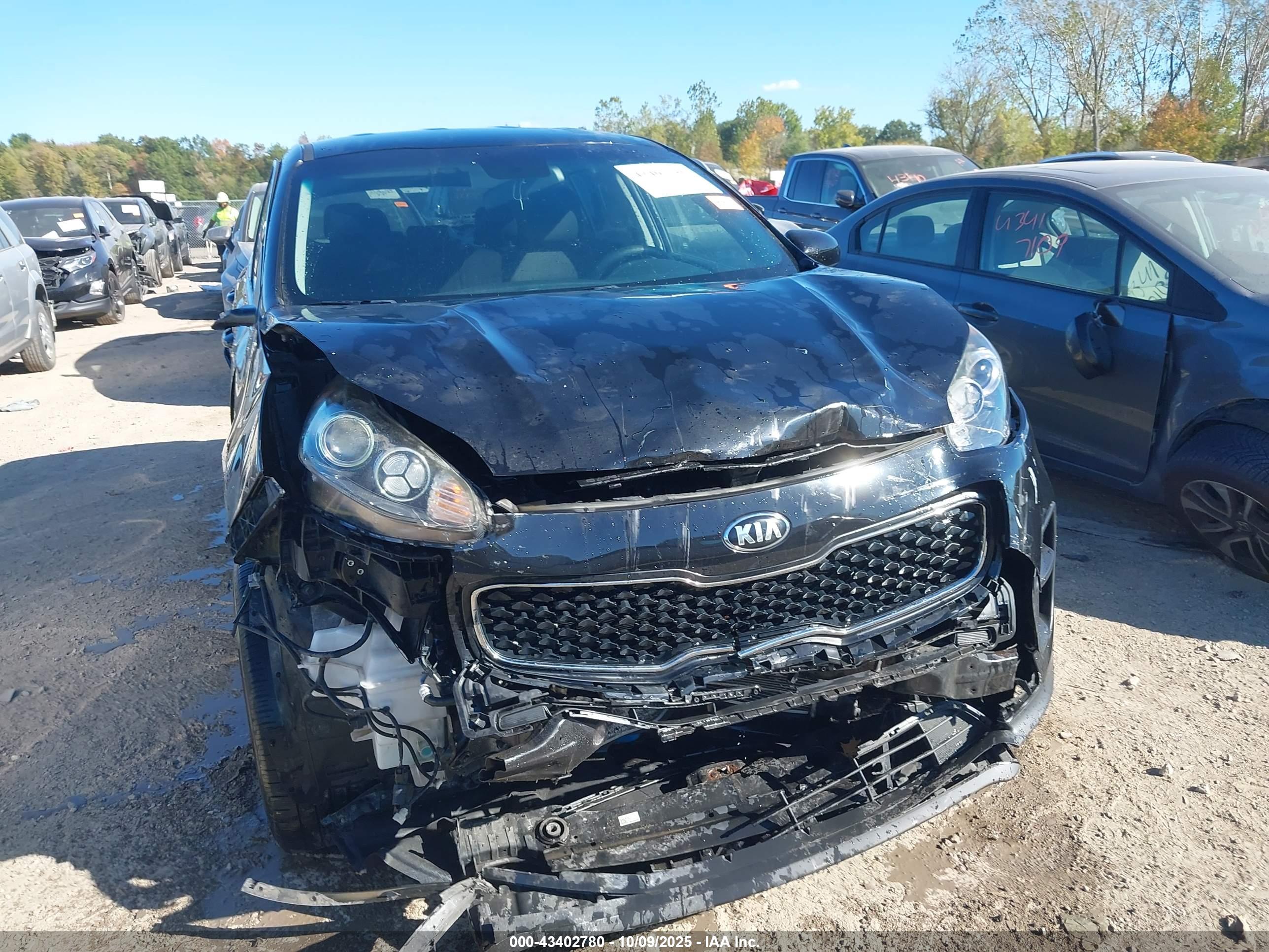 KIA SPORTAGE image 6