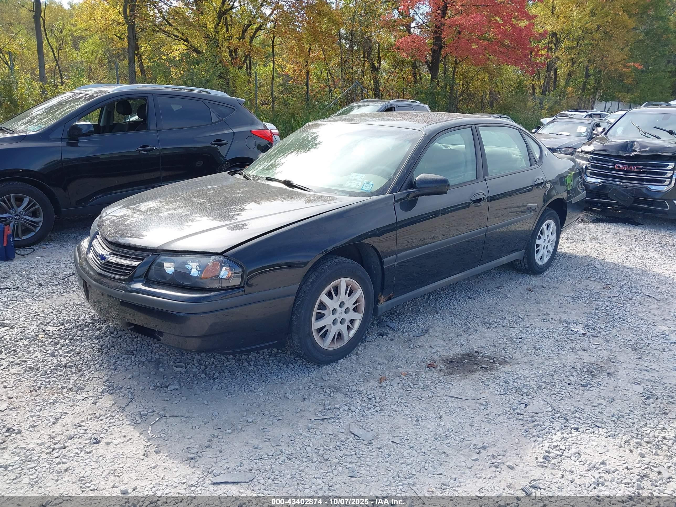 CHEVROLET IMPALA image 2