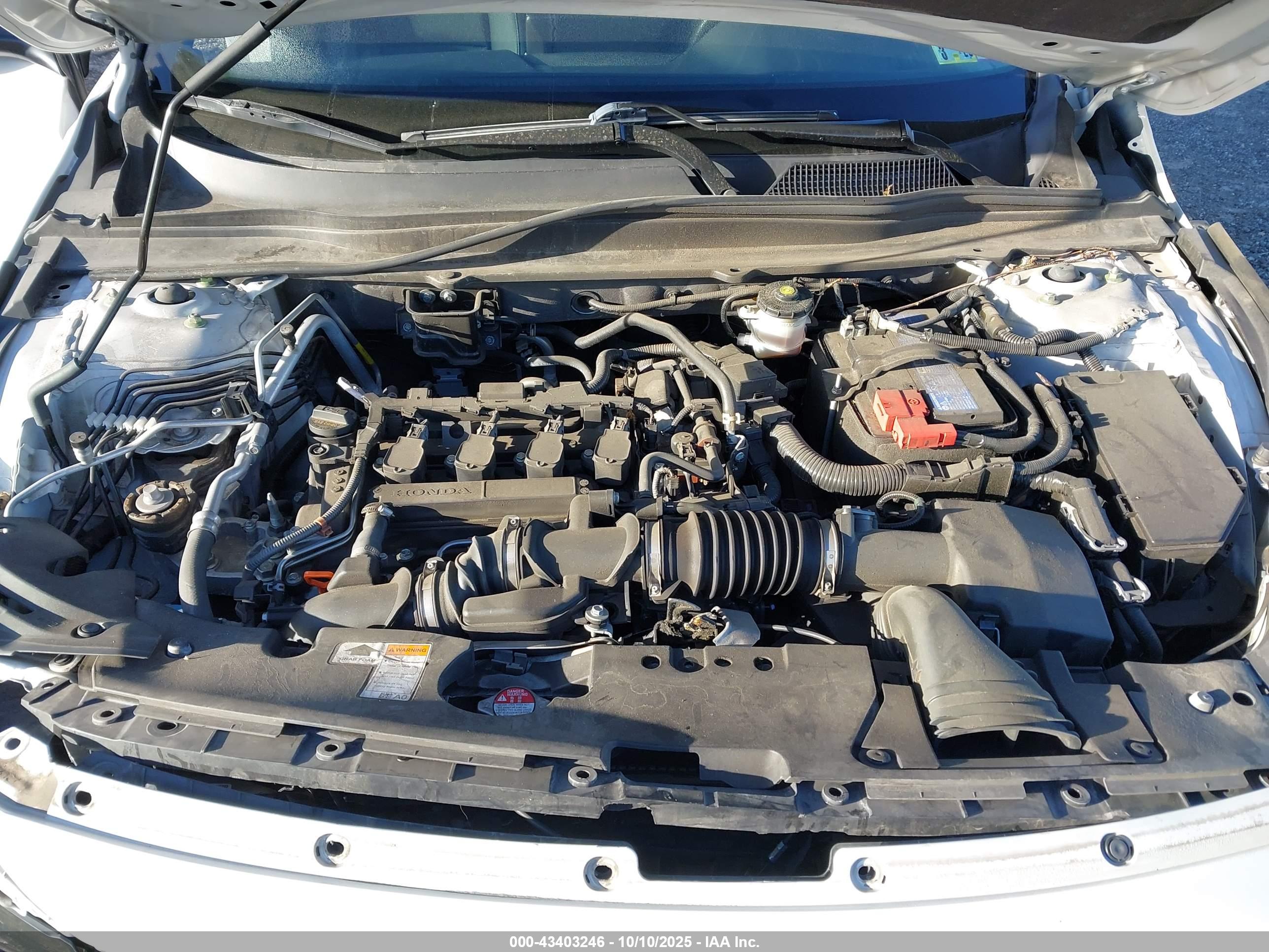 HONDA ACCORD image 10