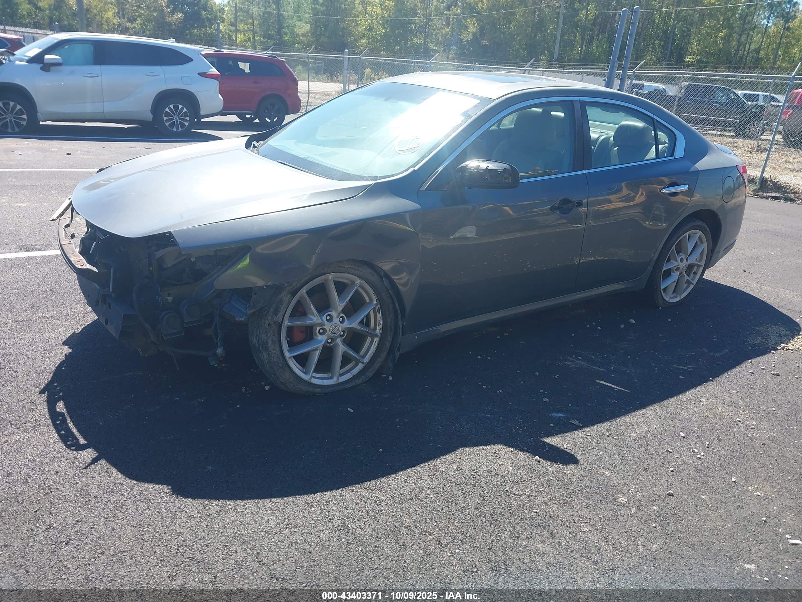 NISSAN MAXIMA image 2