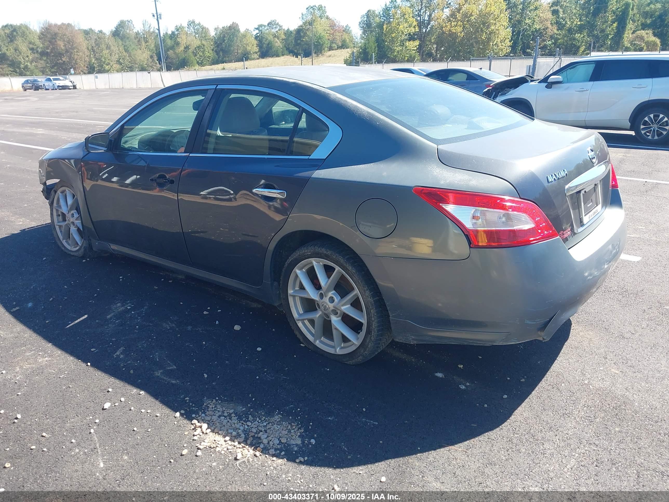 NISSAN MAXIMA image 3