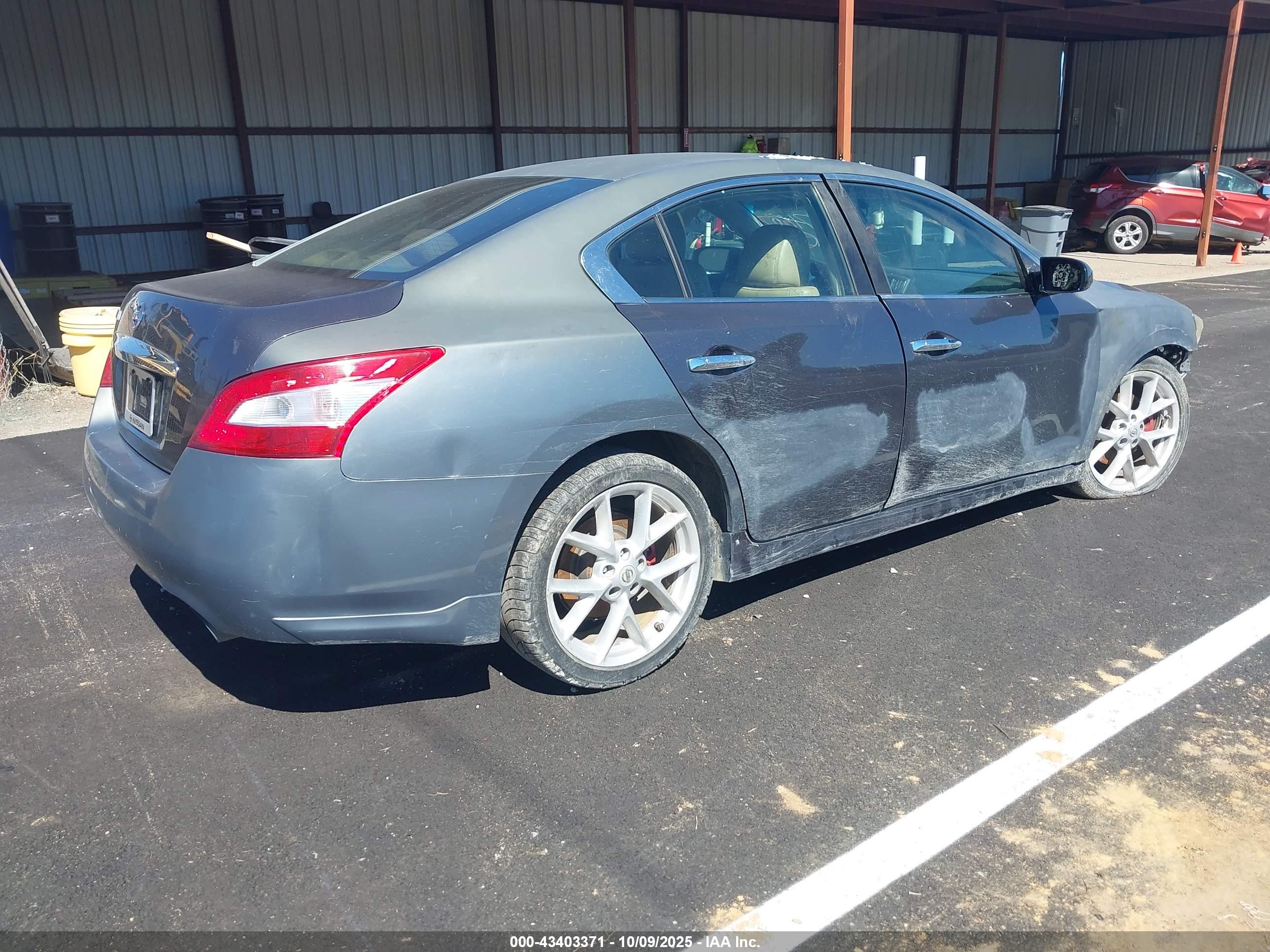 NISSAN MAXIMA image 4