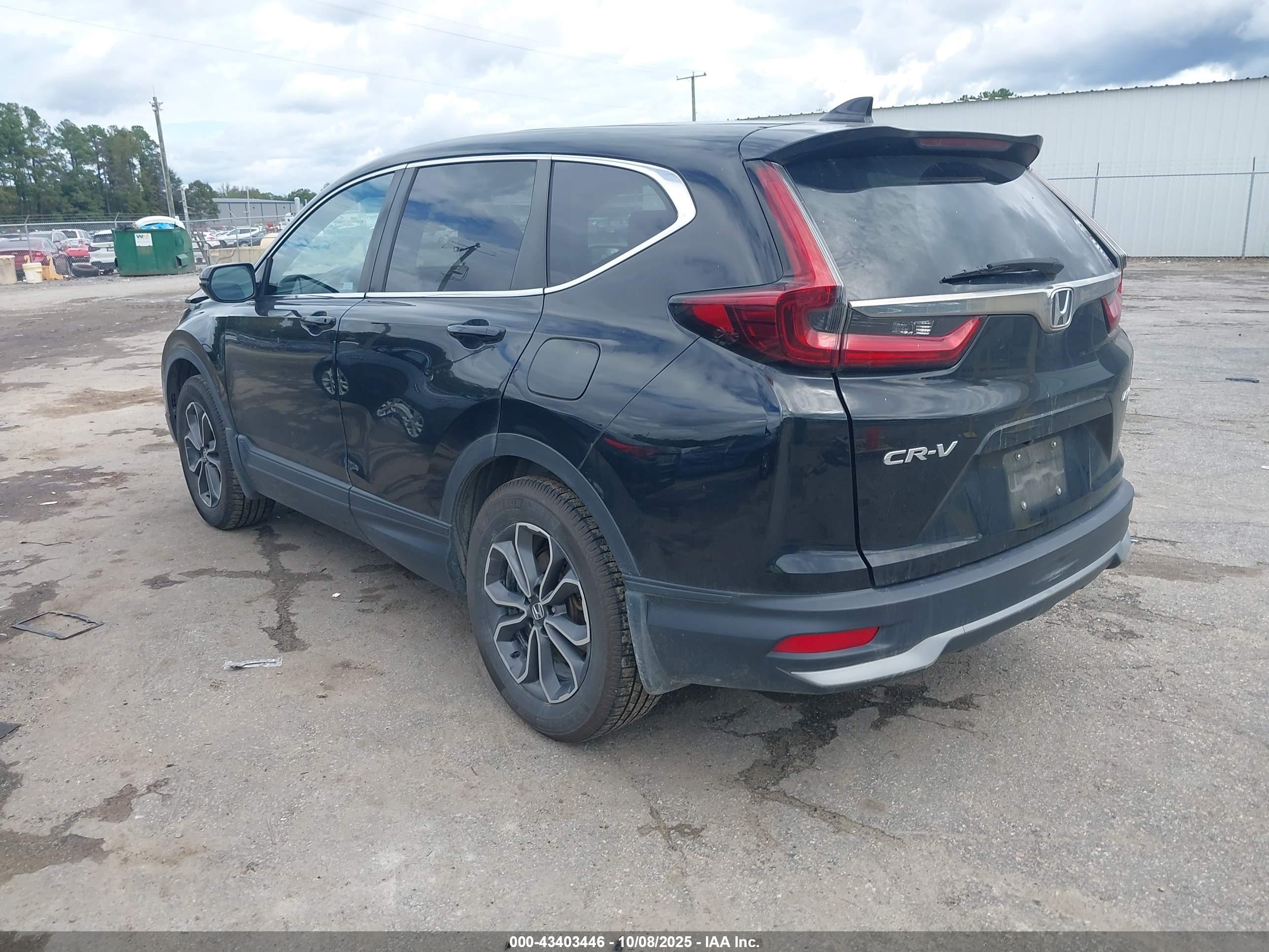HONDA CR-V image 3