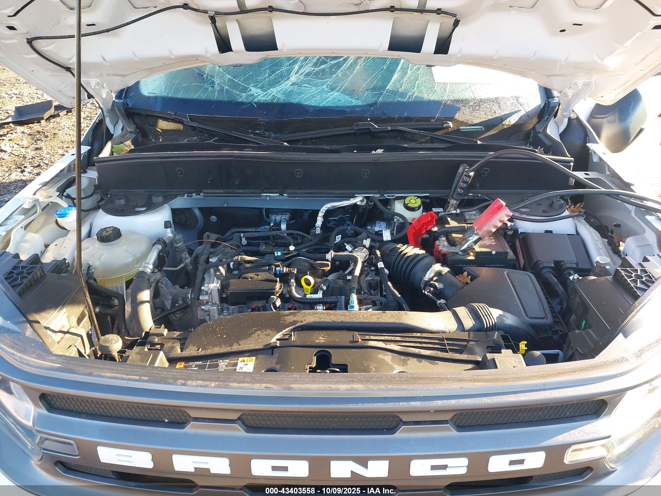FORD BRONCO image 10