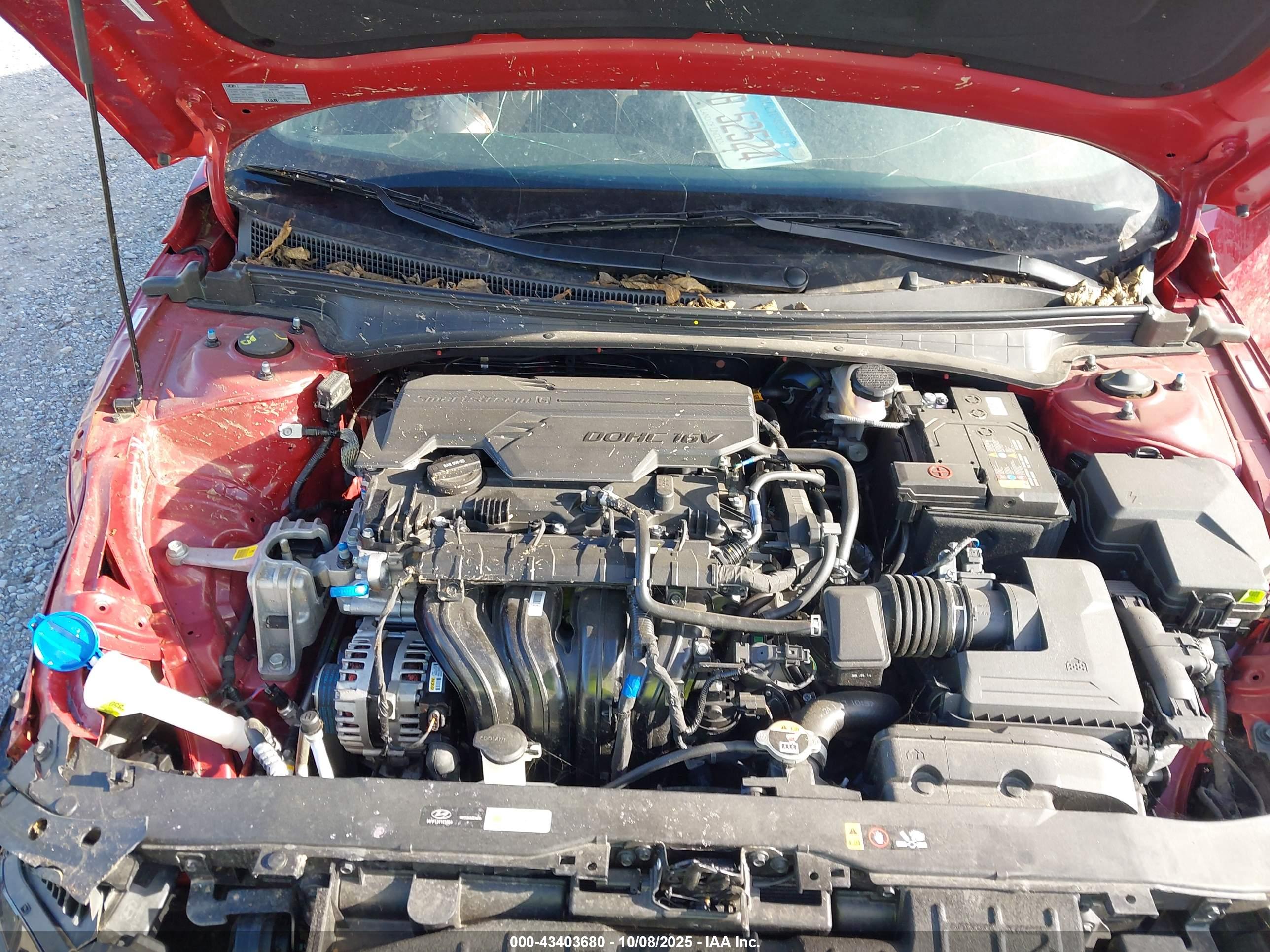 HYUNDAI ELANTRA image 10
