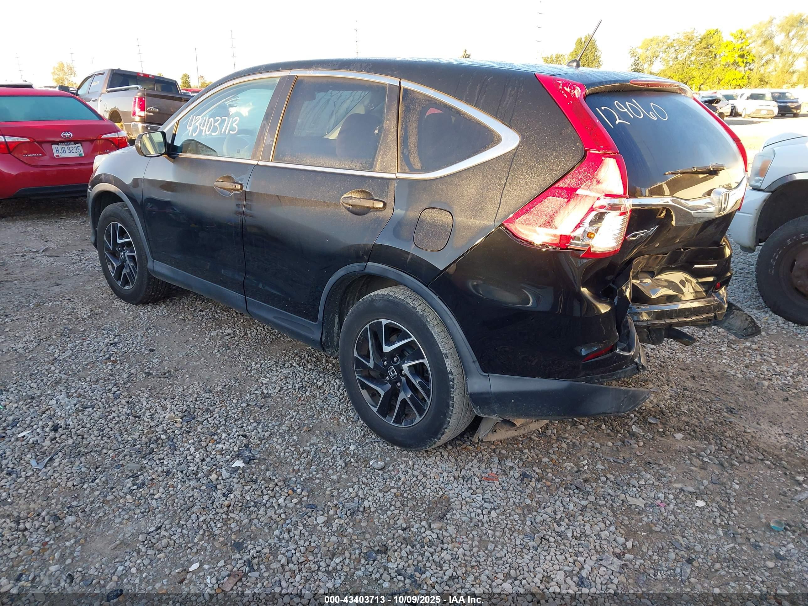 HONDA CR-V image 3