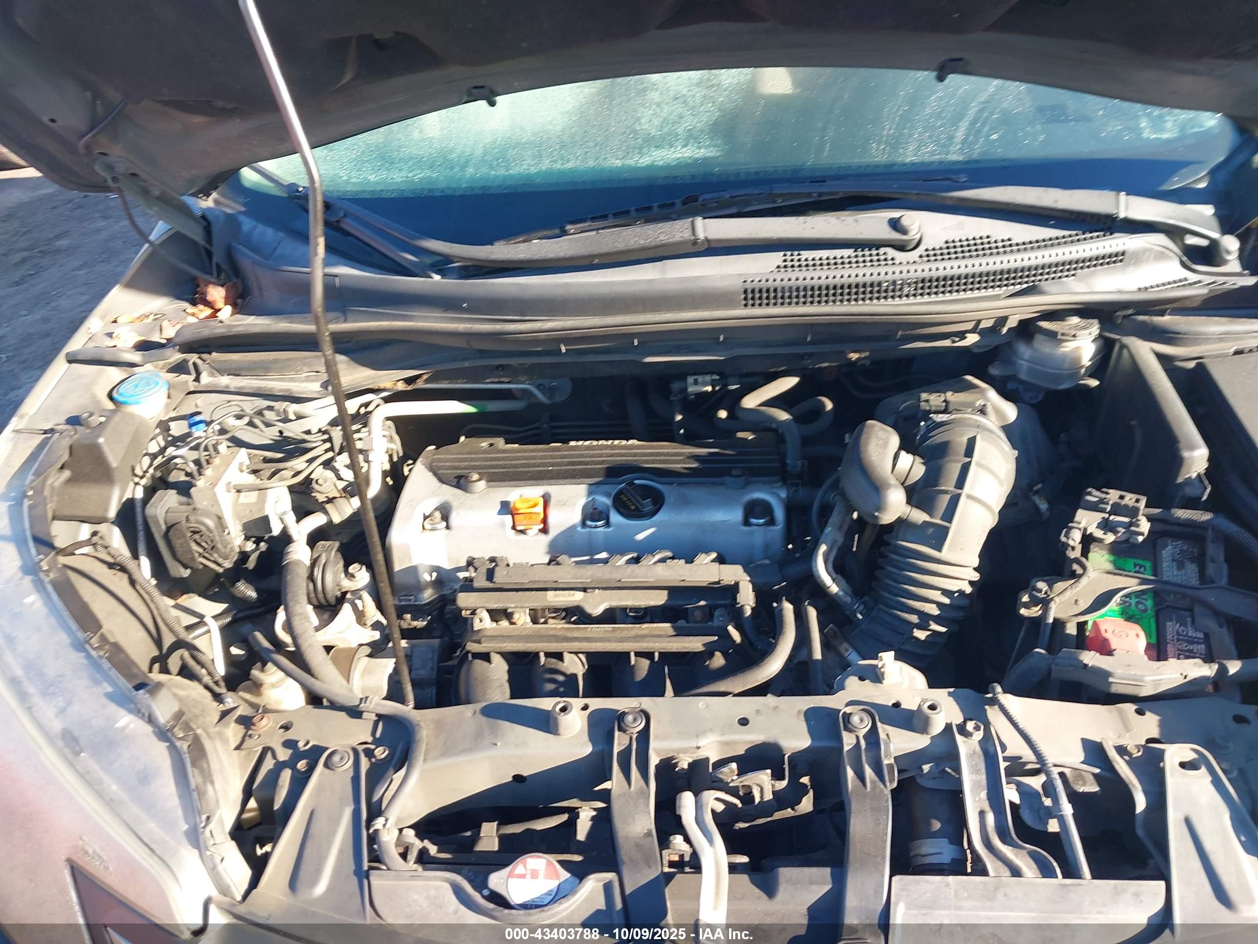 HONDA CR-V image 10