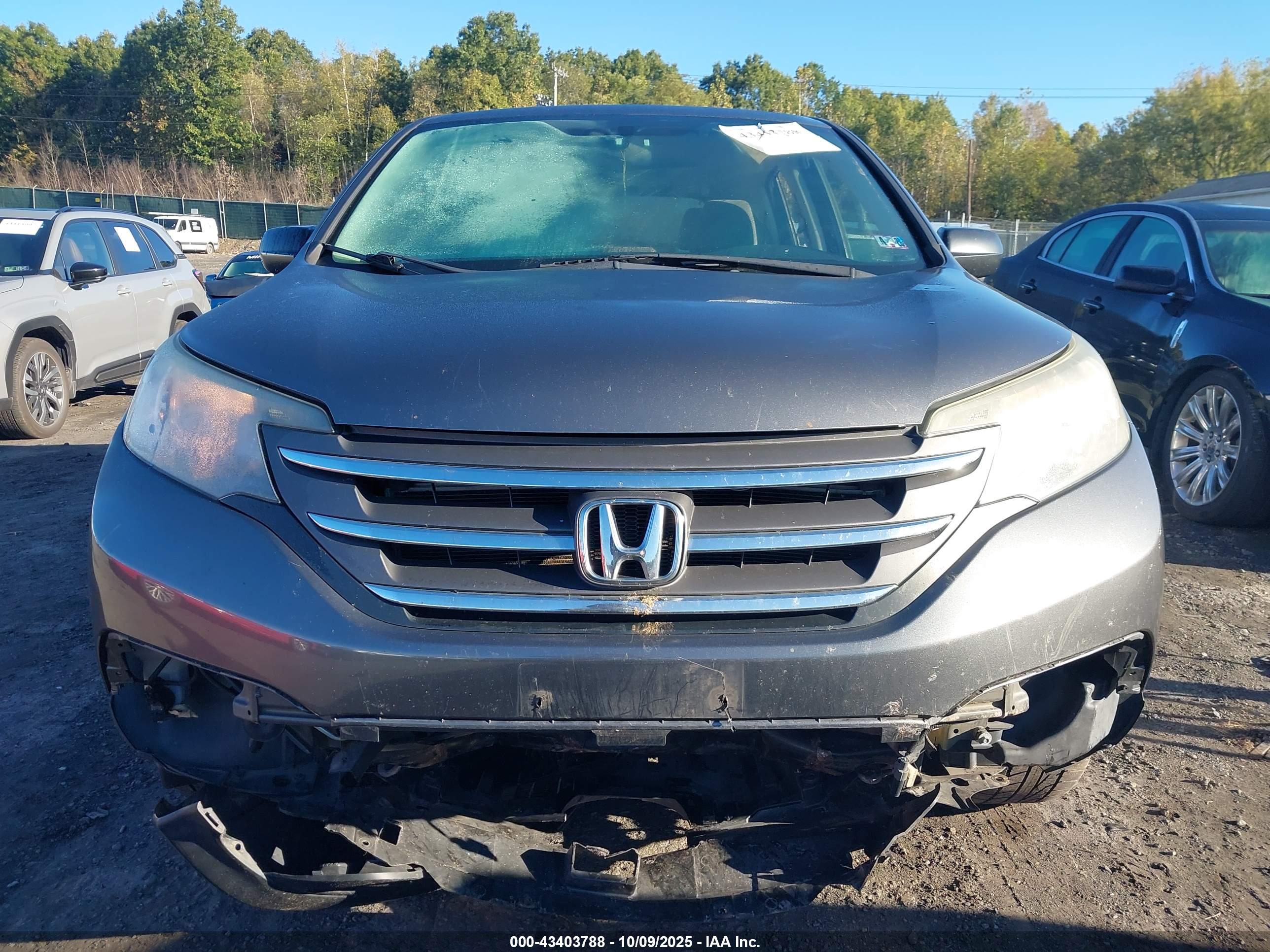 HONDA CR-V image 6