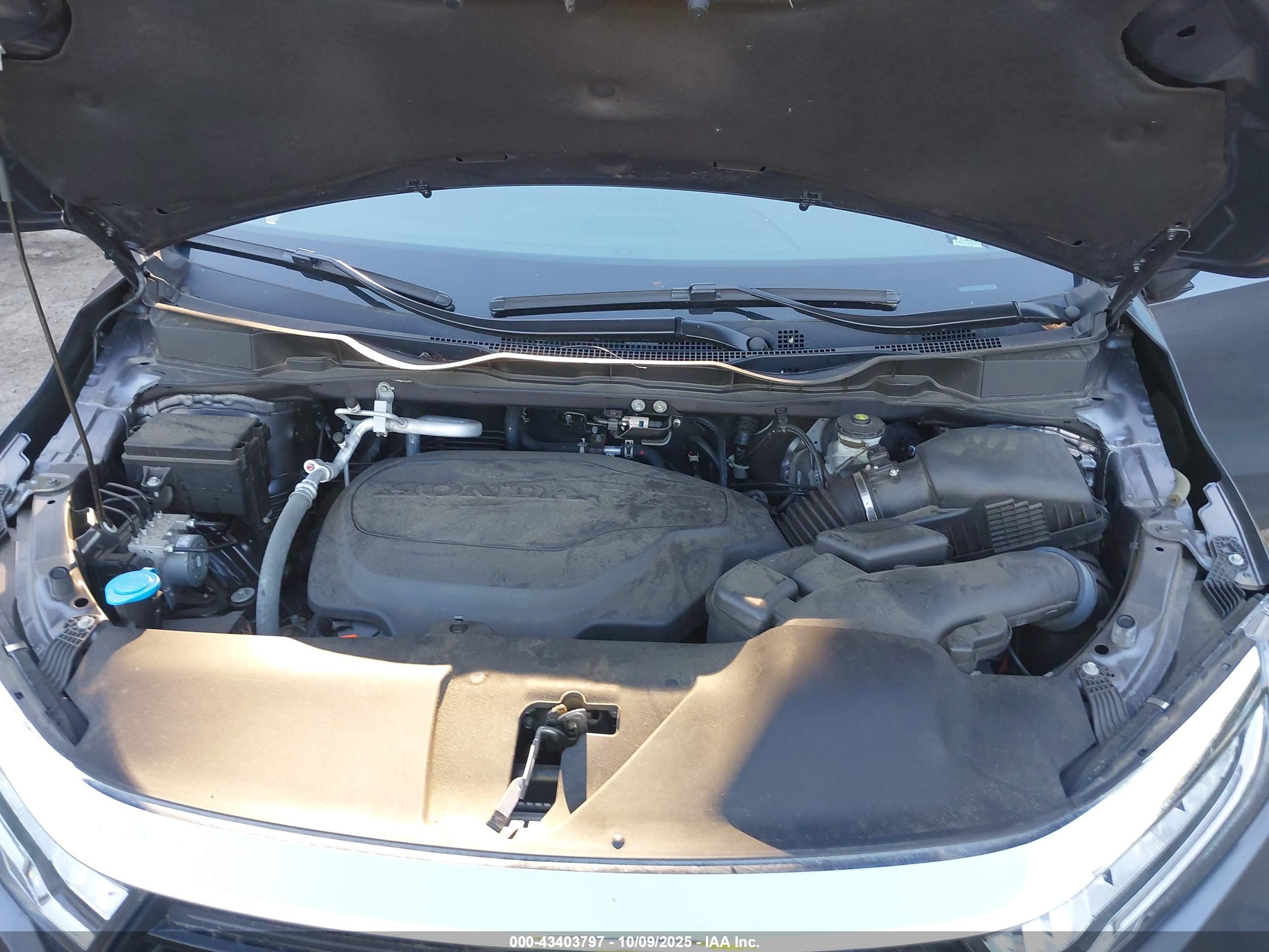 HONDA ODYSSEY image 10