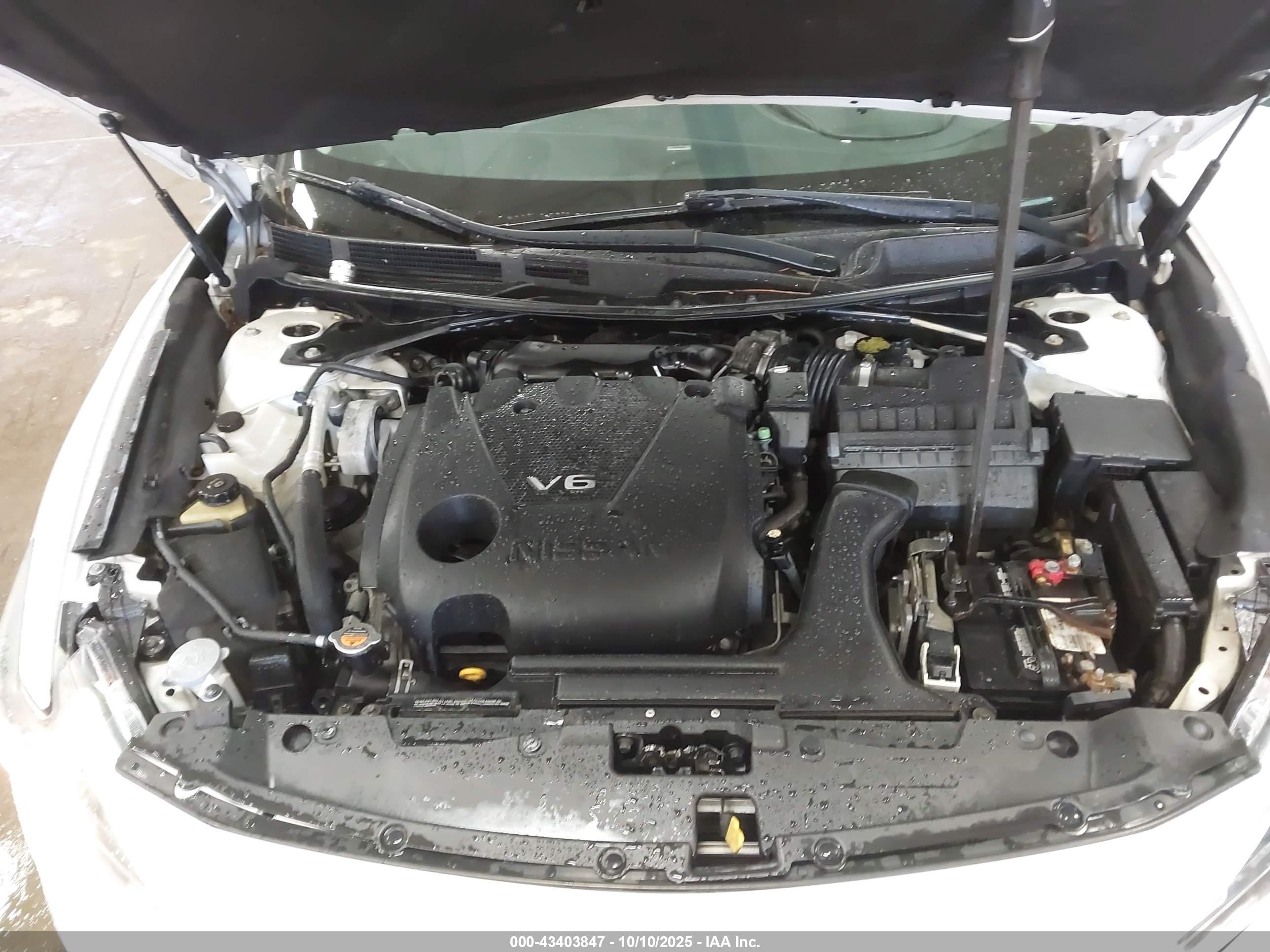 NISSAN MAXIMA image 10