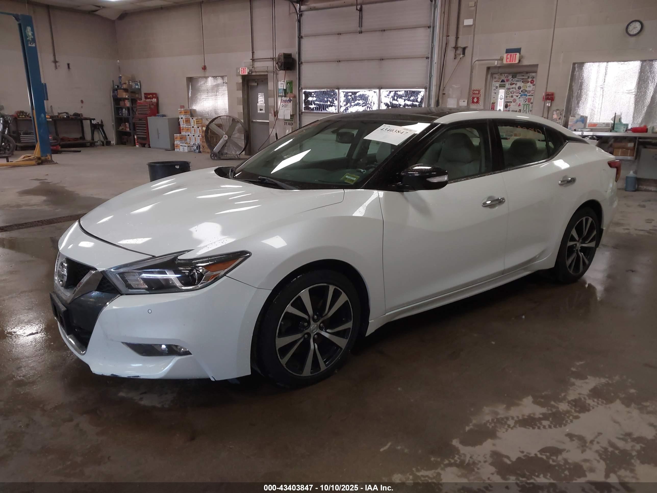 NISSAN MAXIMA image 2