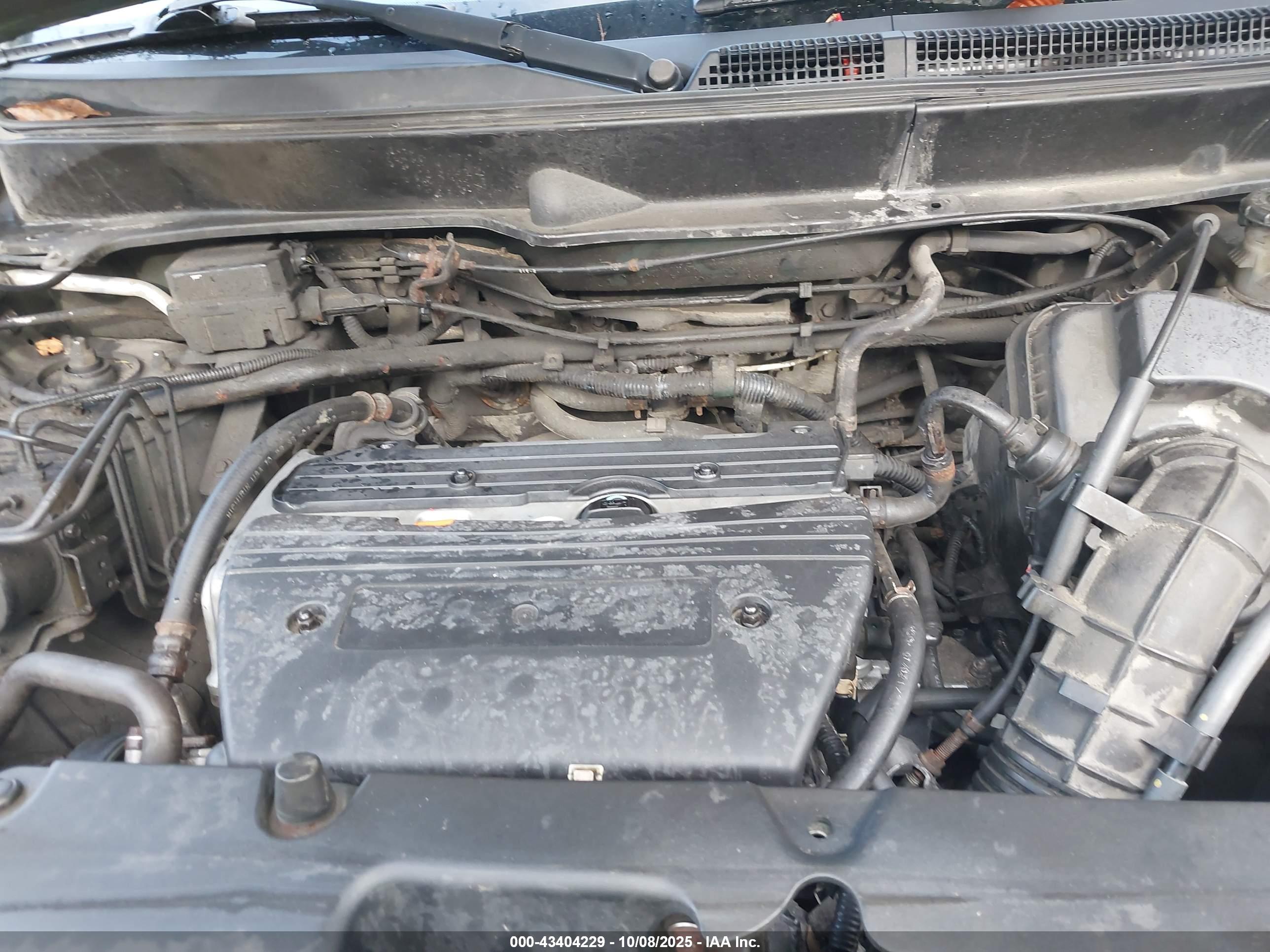 HONDA ELEMENT image 10