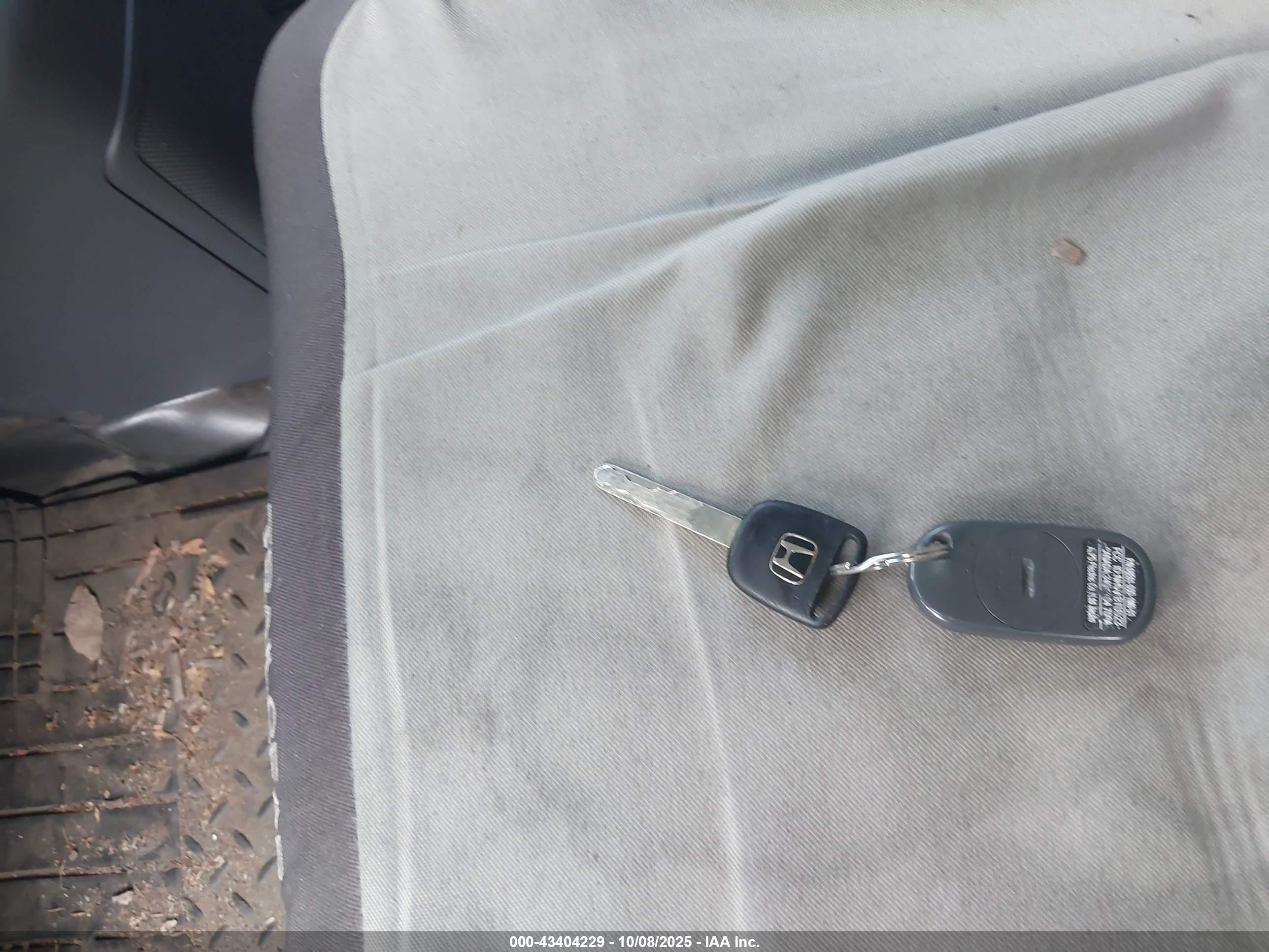 HONDA ELEMENT image 11