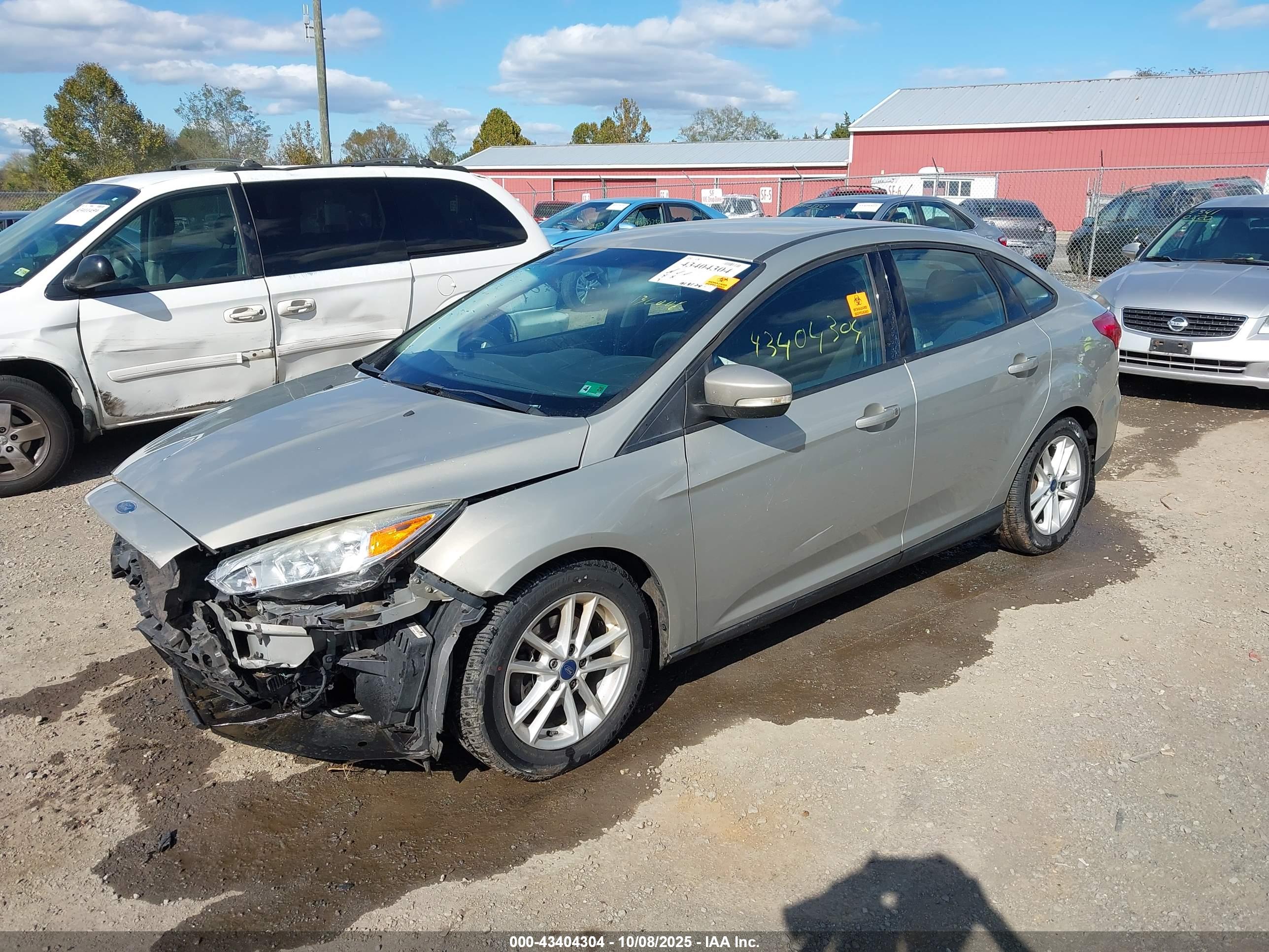 FORD FOCUS image 2