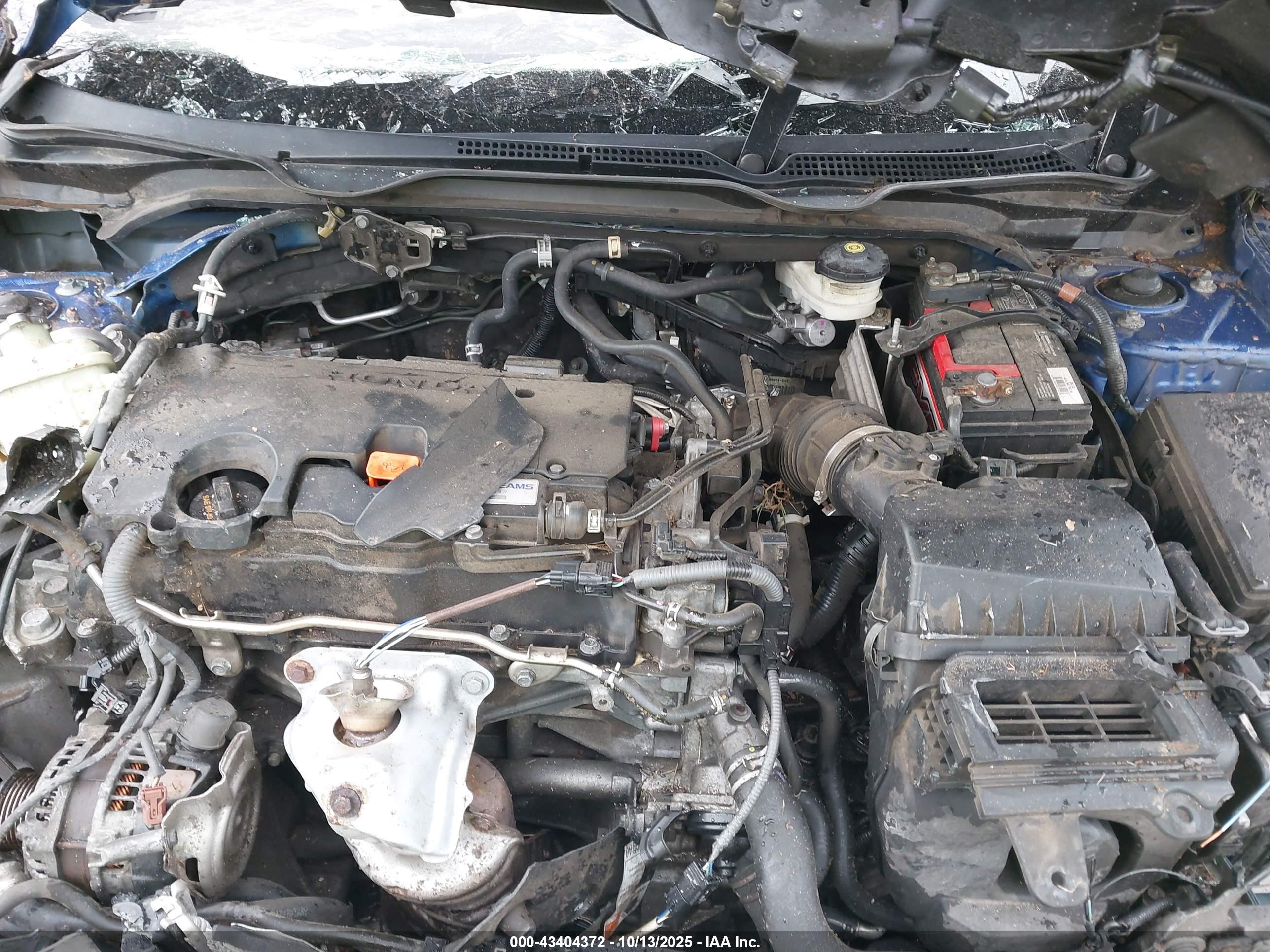 HONDA CIVIC image 10