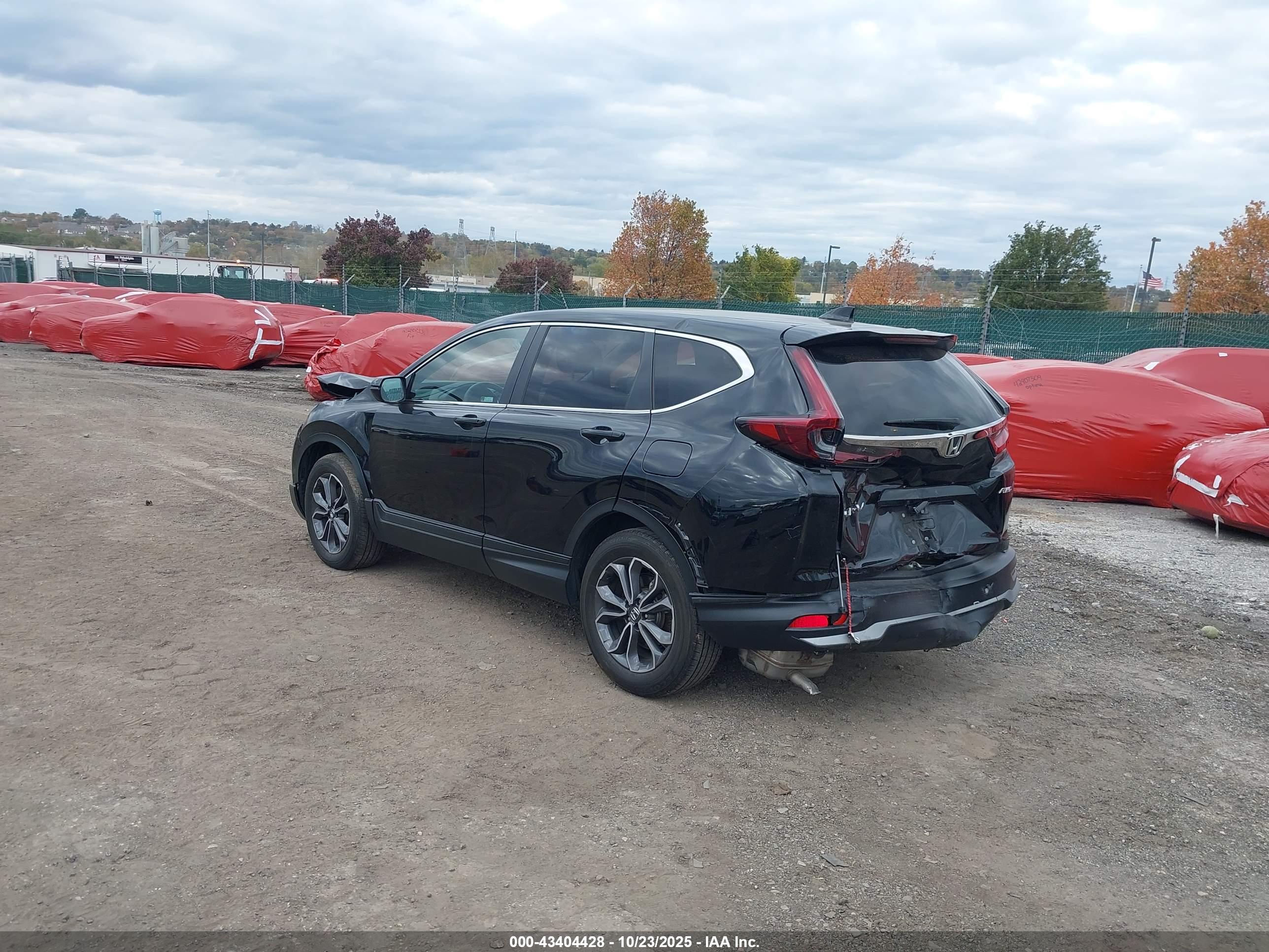 HONDA CR-V image 3