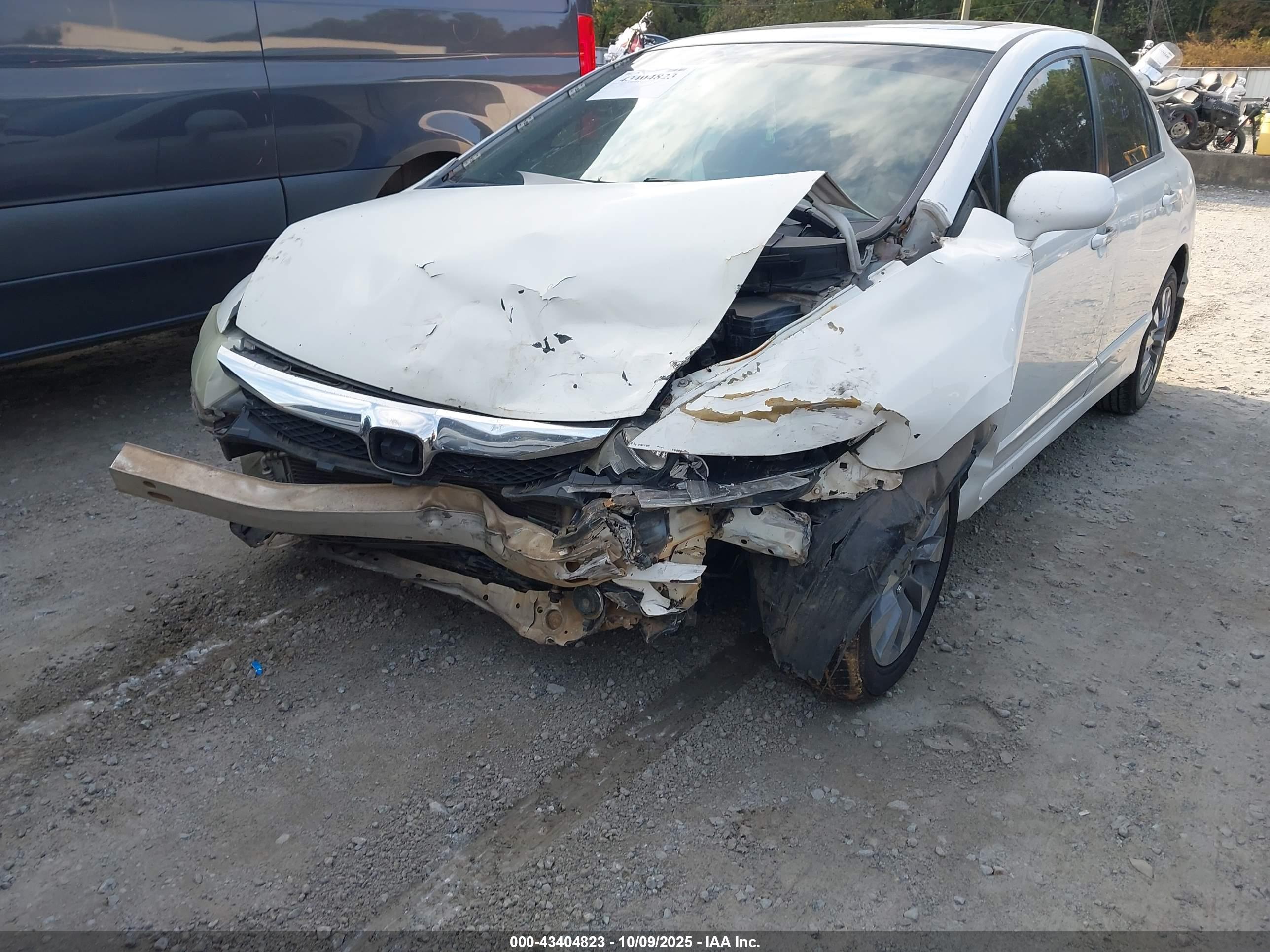 HONDA CIVIC image 6