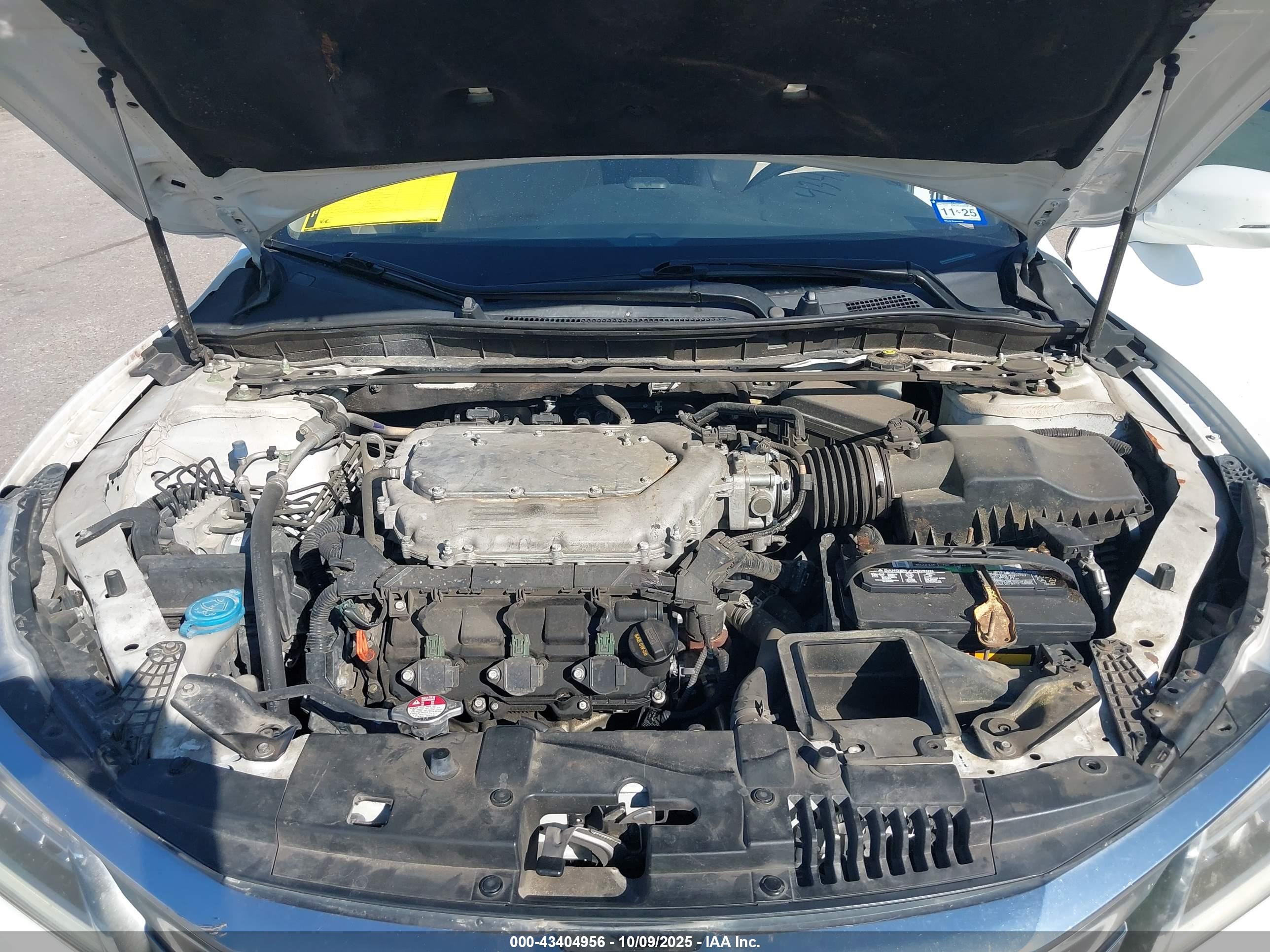 HONDA ACCORD image 10