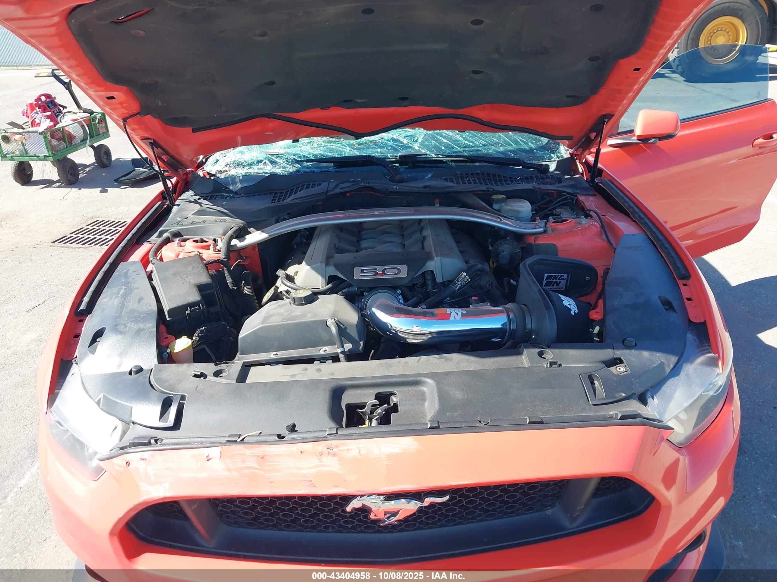 FORD MUSTANG image 10