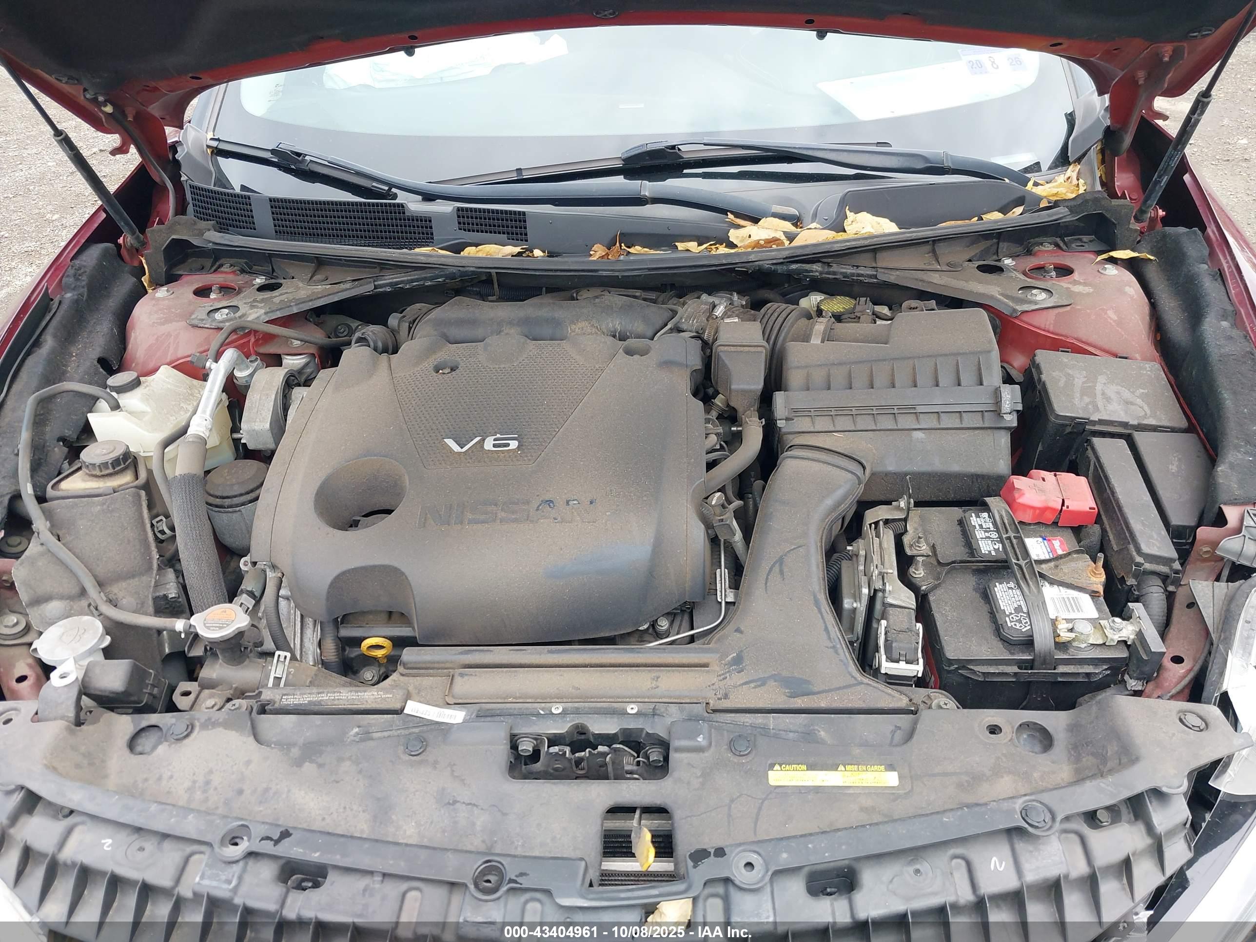 NISSAN MAXIMA image 10